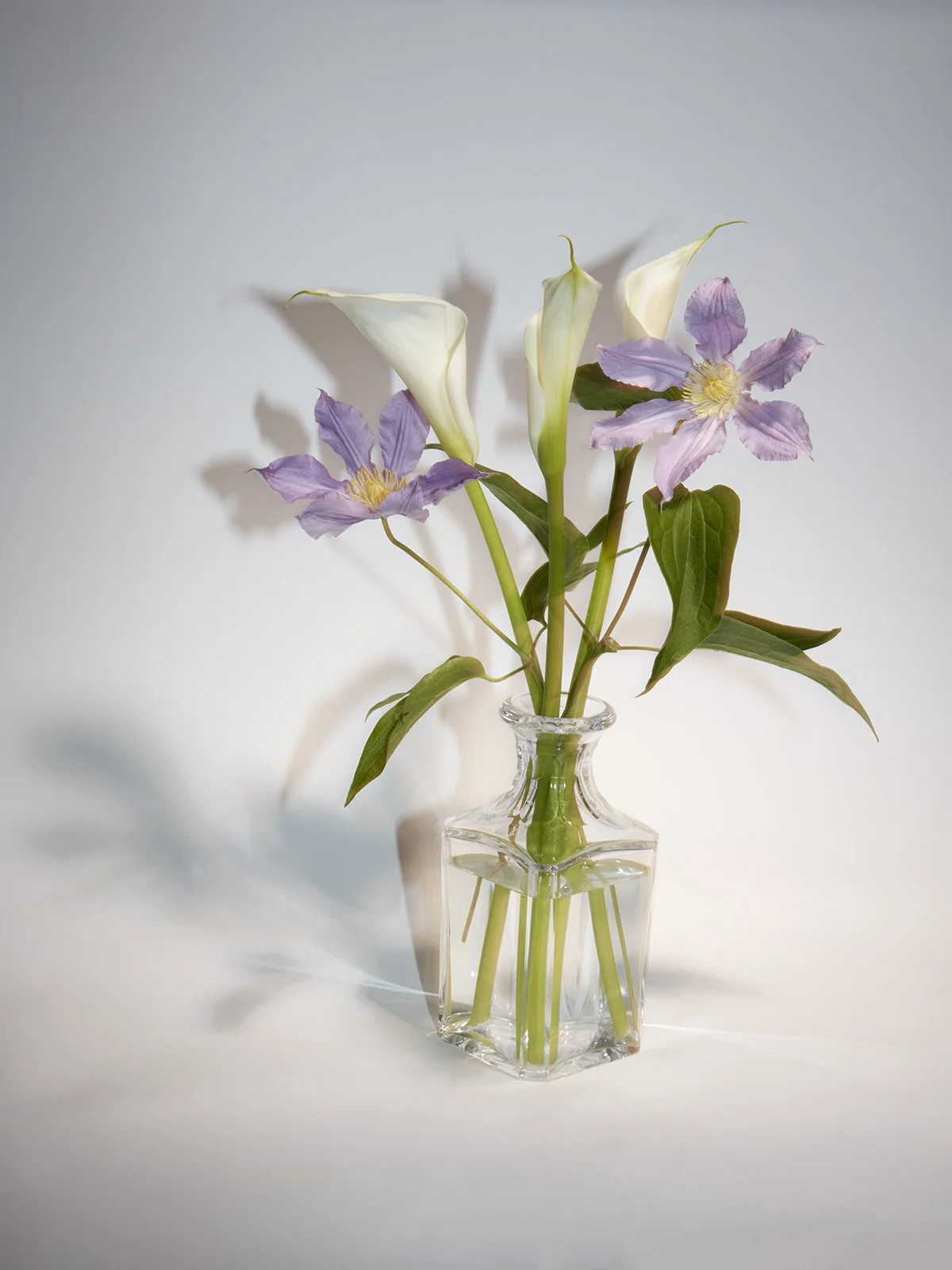 FLOWERS16_THEODORA_RICHTER_05 copie.jpg