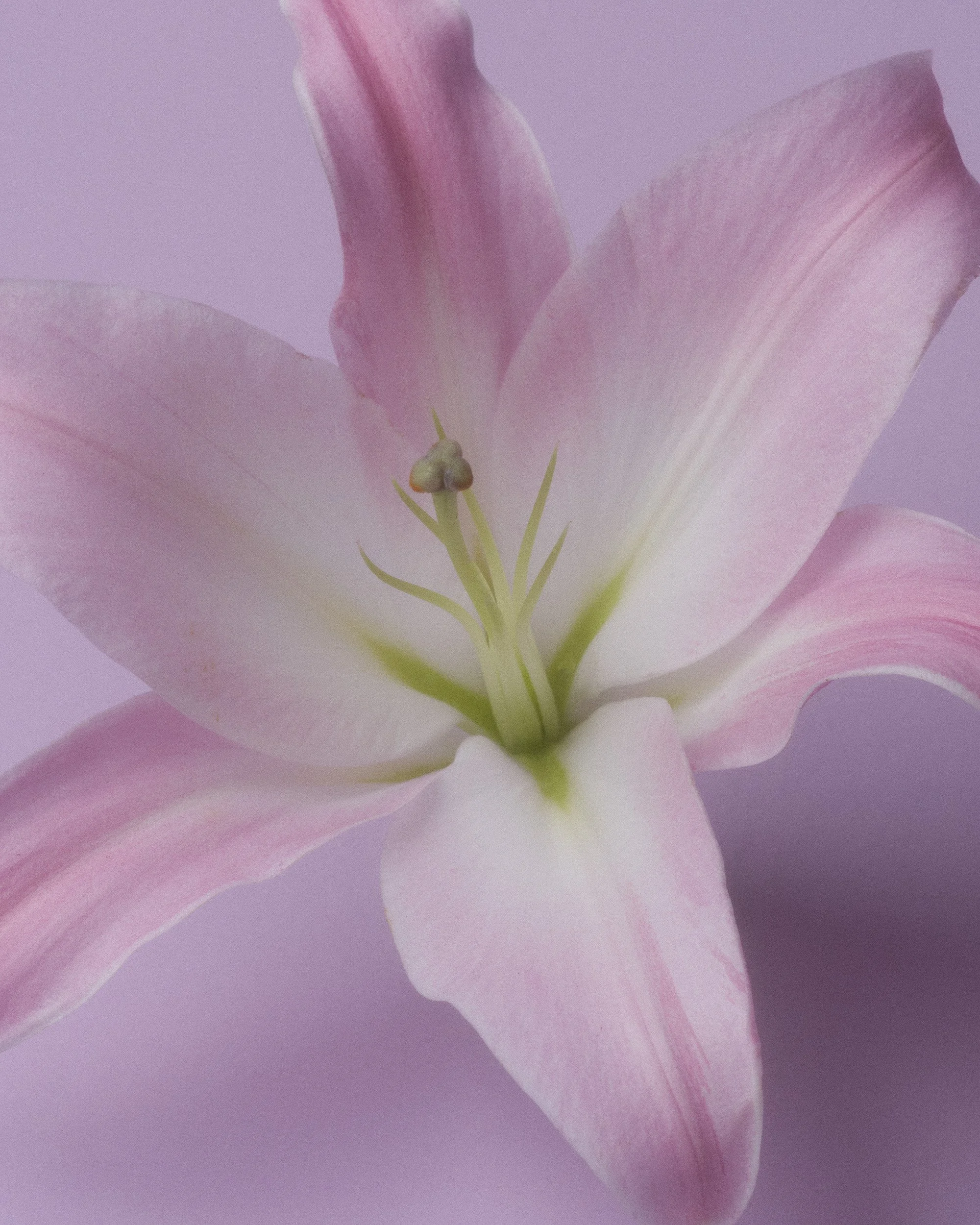 TEST_JUNE_2026_COLORS0044.jpg