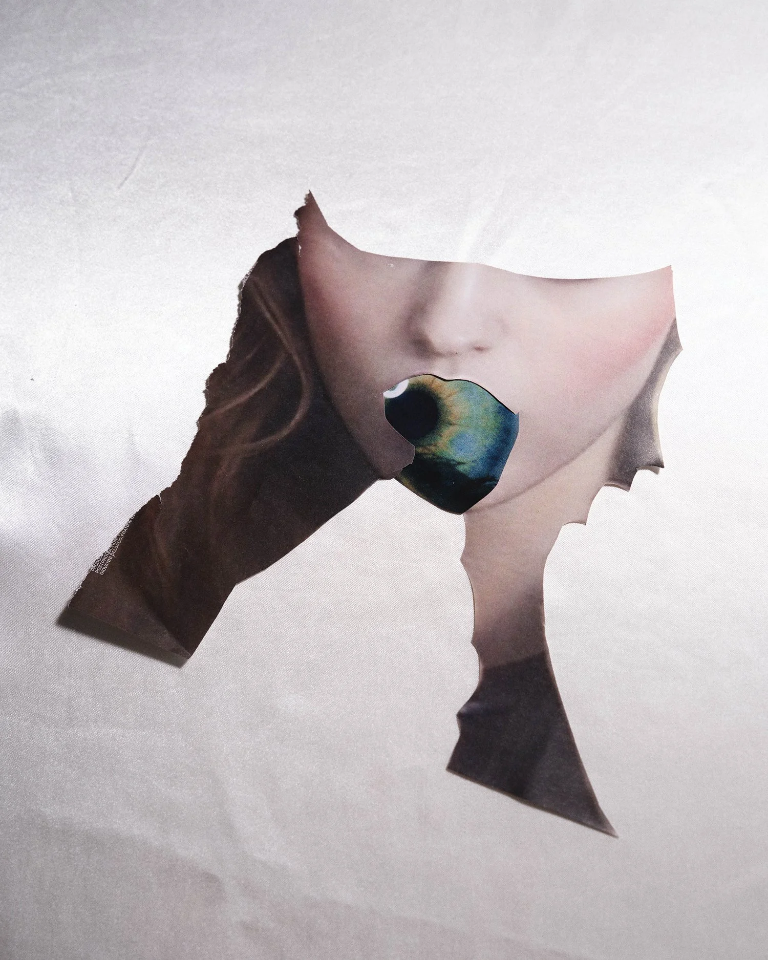 THEODORA_RICHTER_collages_23.jpg