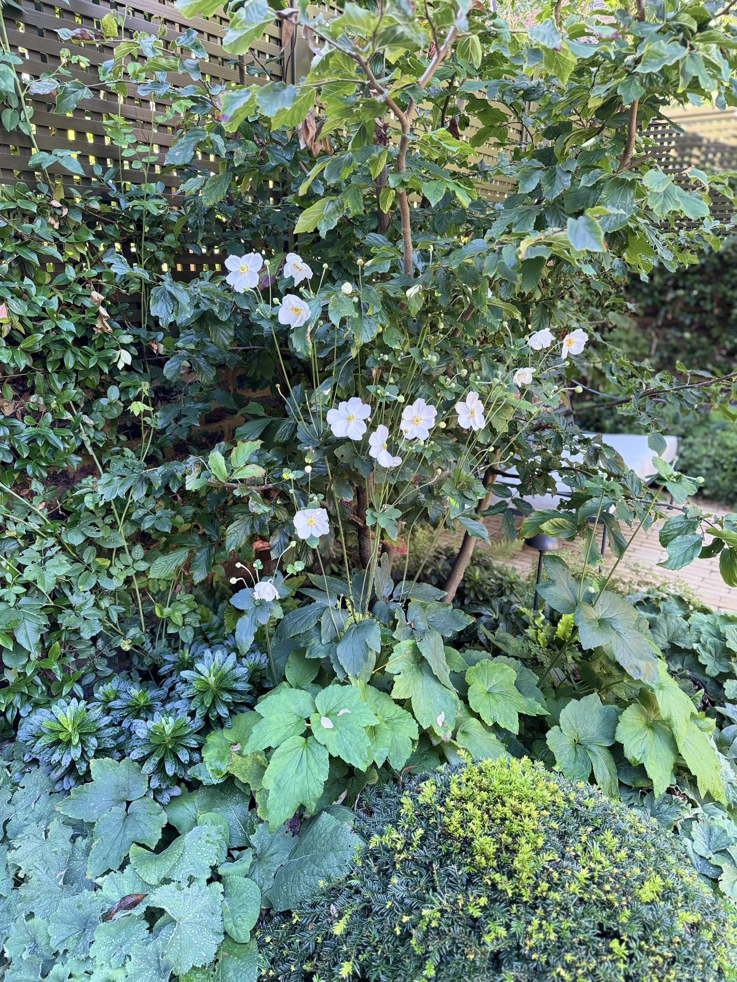 IMG_3837.jpeg