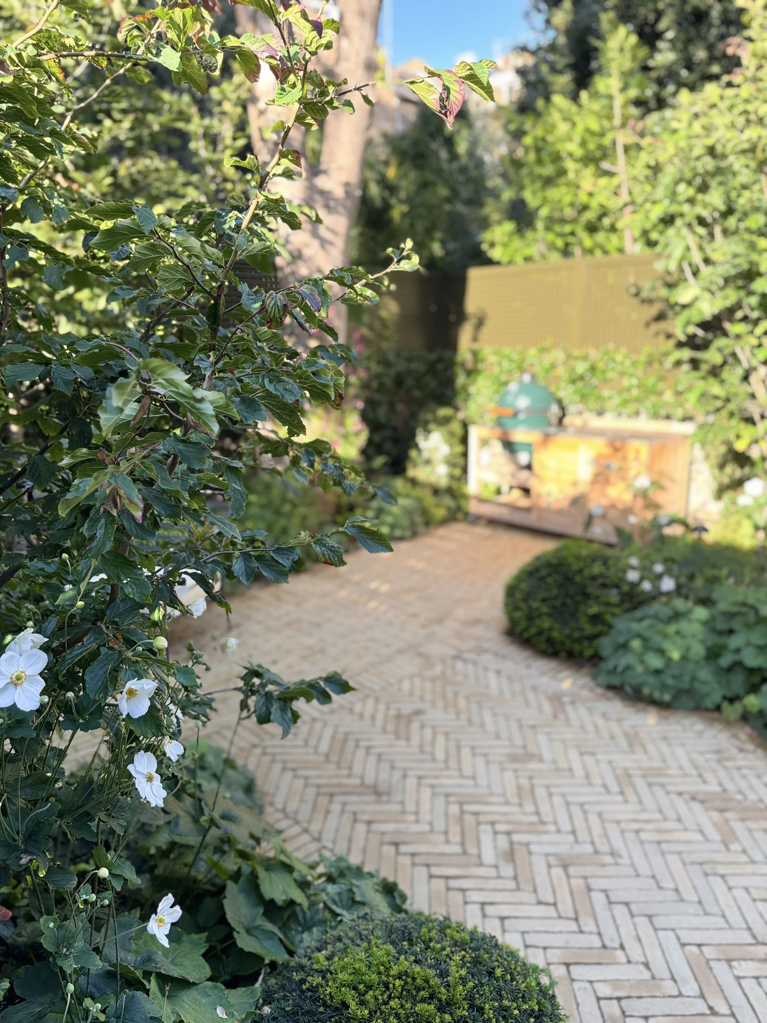 IMG_3839.jpeg
