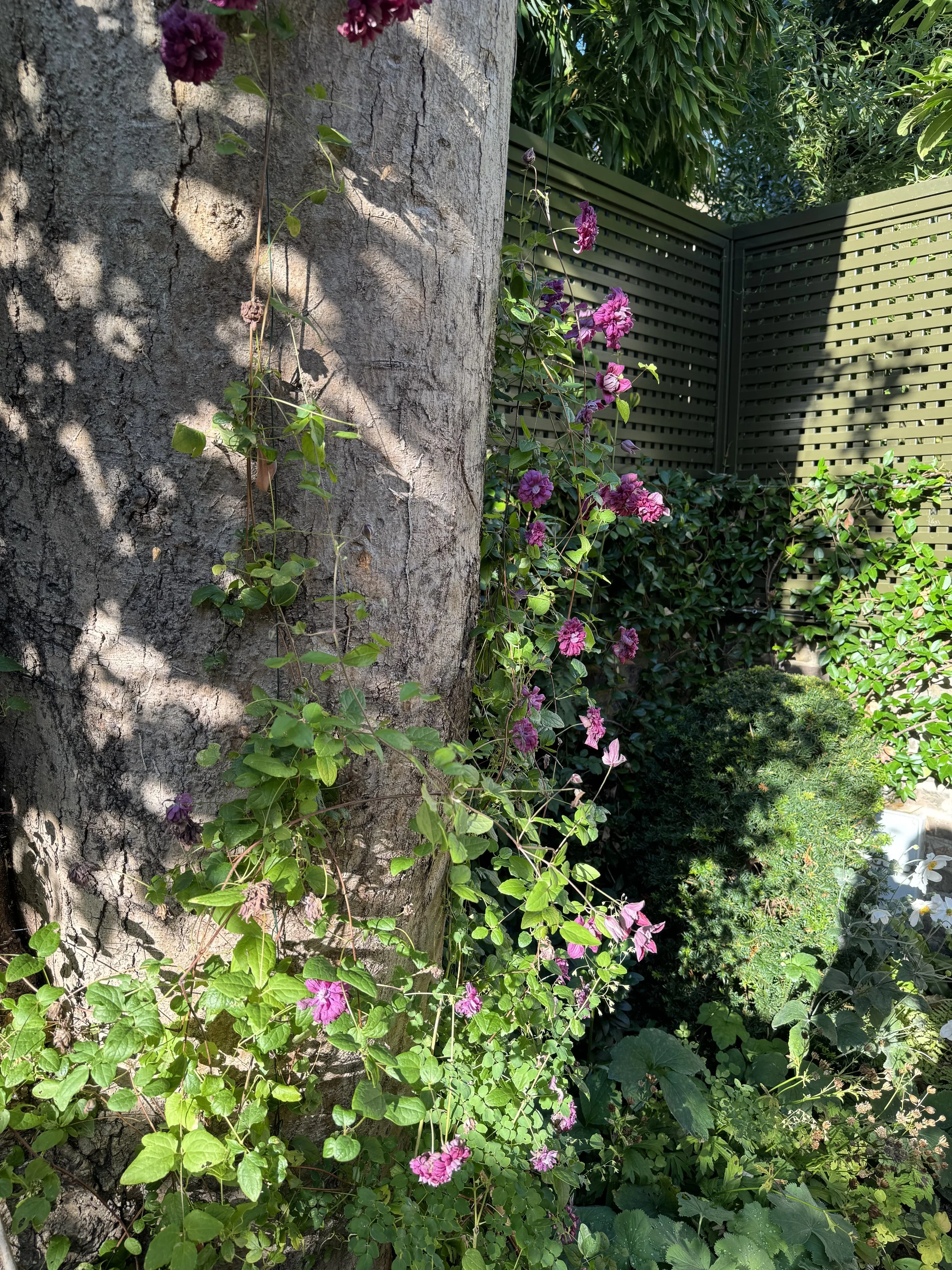 IMG_3824.jpeg