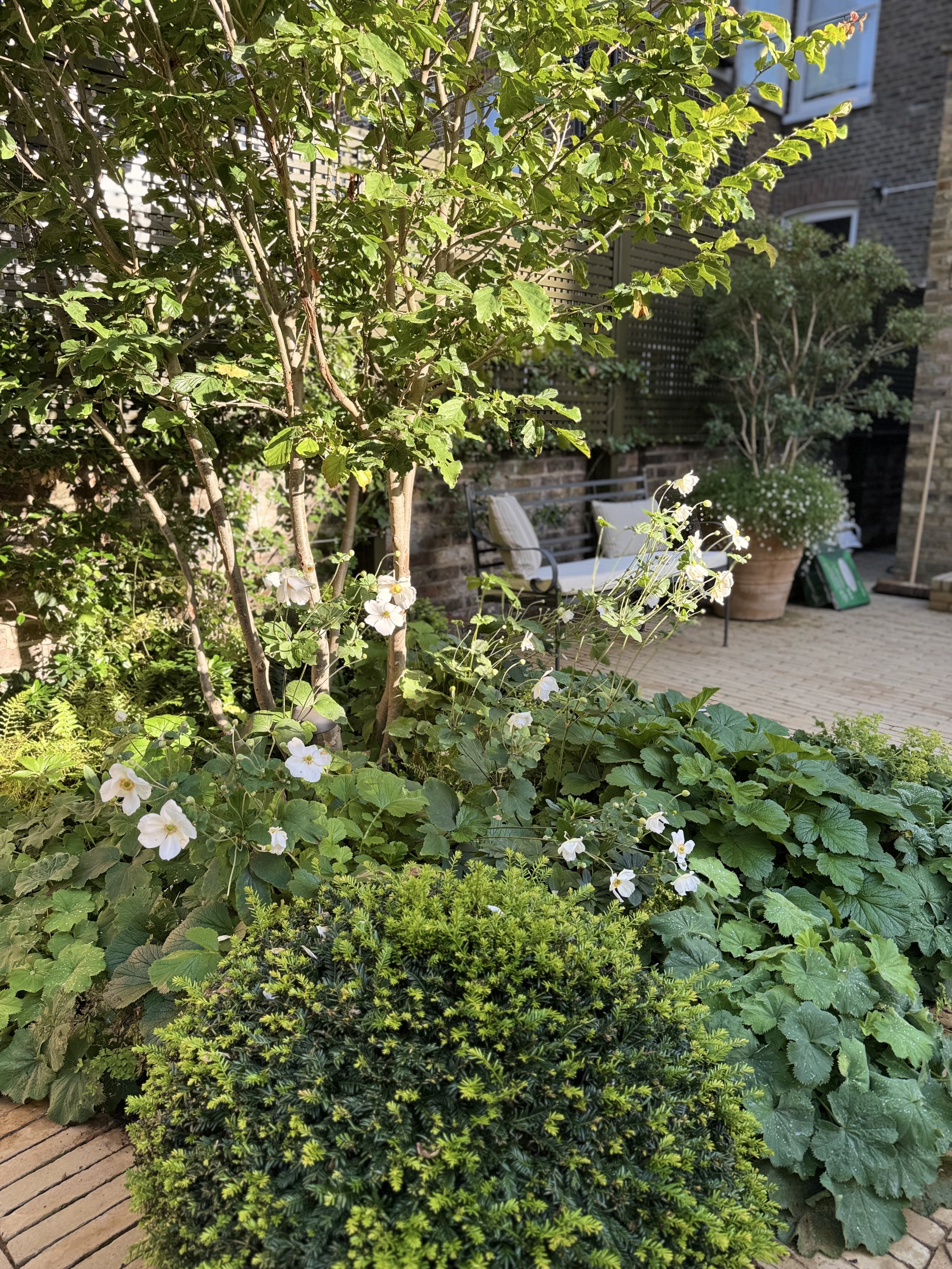 IMG_3828.jpeg