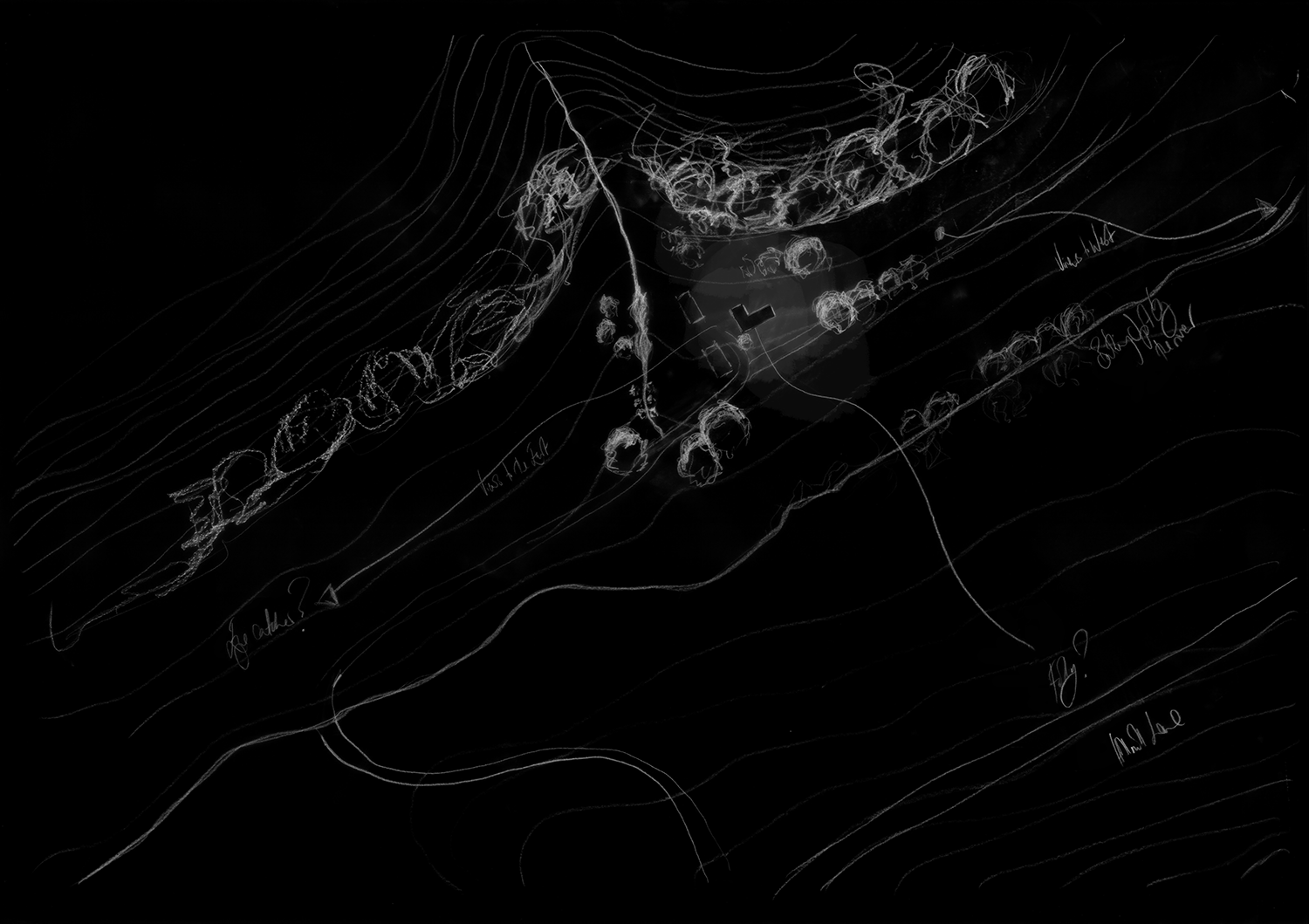D6-Site-B&W-for-web.png