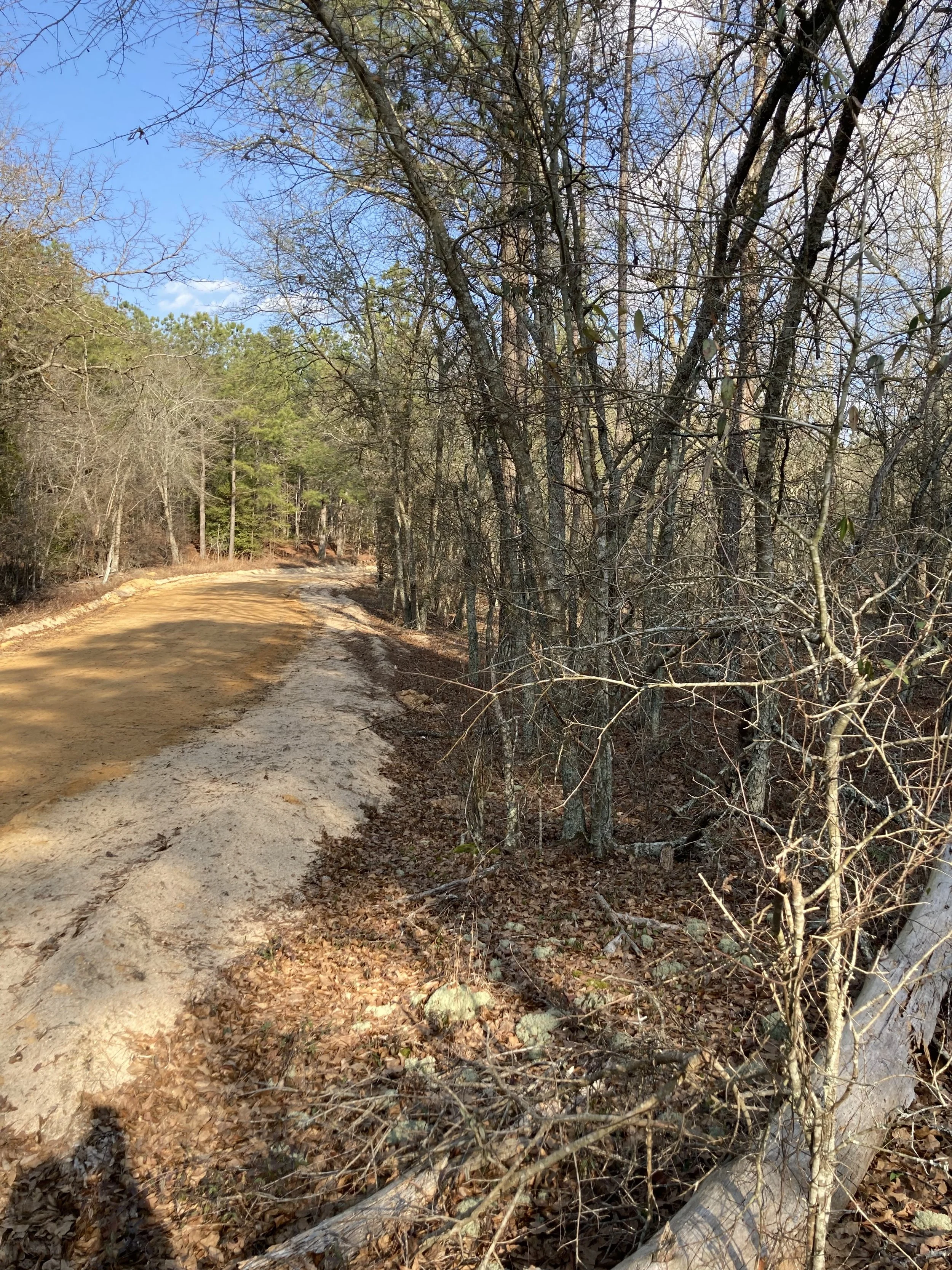 COMING SOON: Autumn Lane, Trenton SC