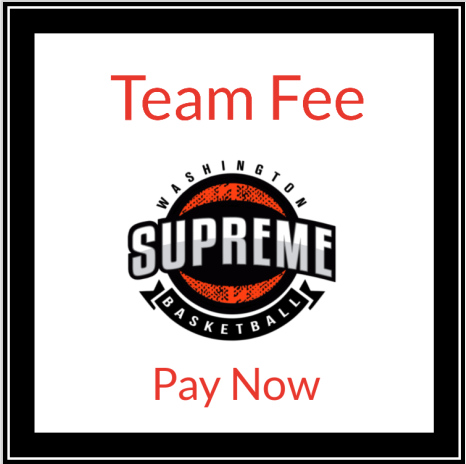 High School 9,10,11,12 Grade Team Fee