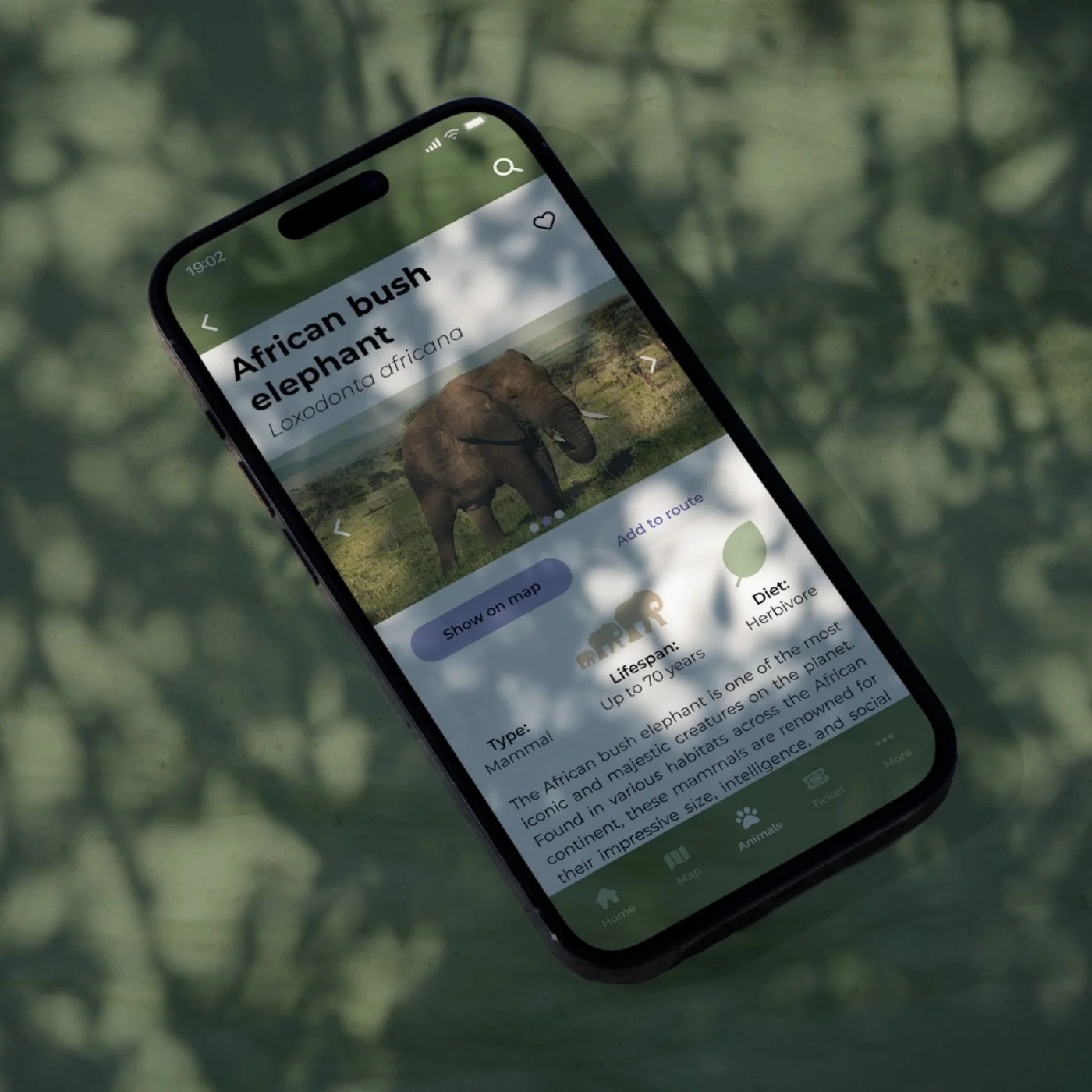 Mobile app for a zoo