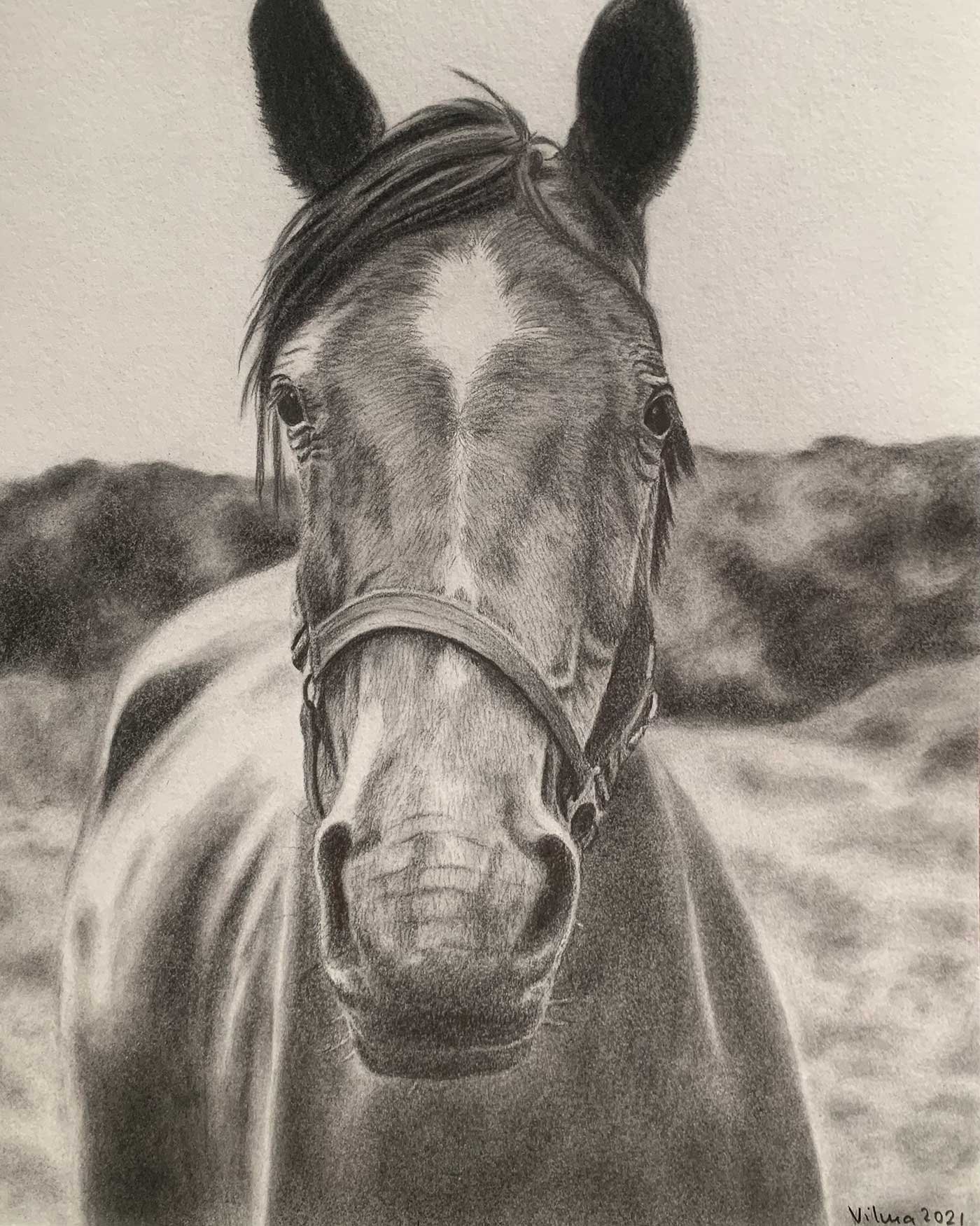 Drawing of a horse
