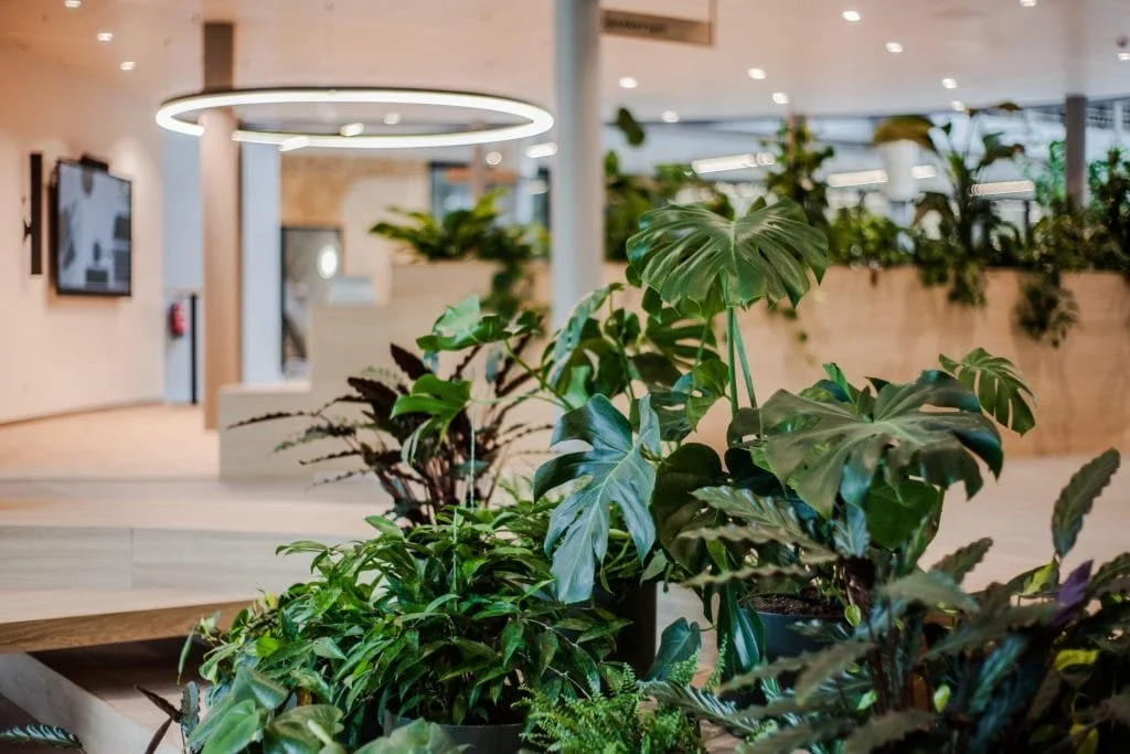 What a 4-Week Workplace Performance Reset Could Do for Your Team