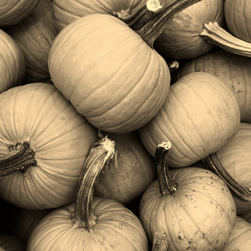 Oct.png