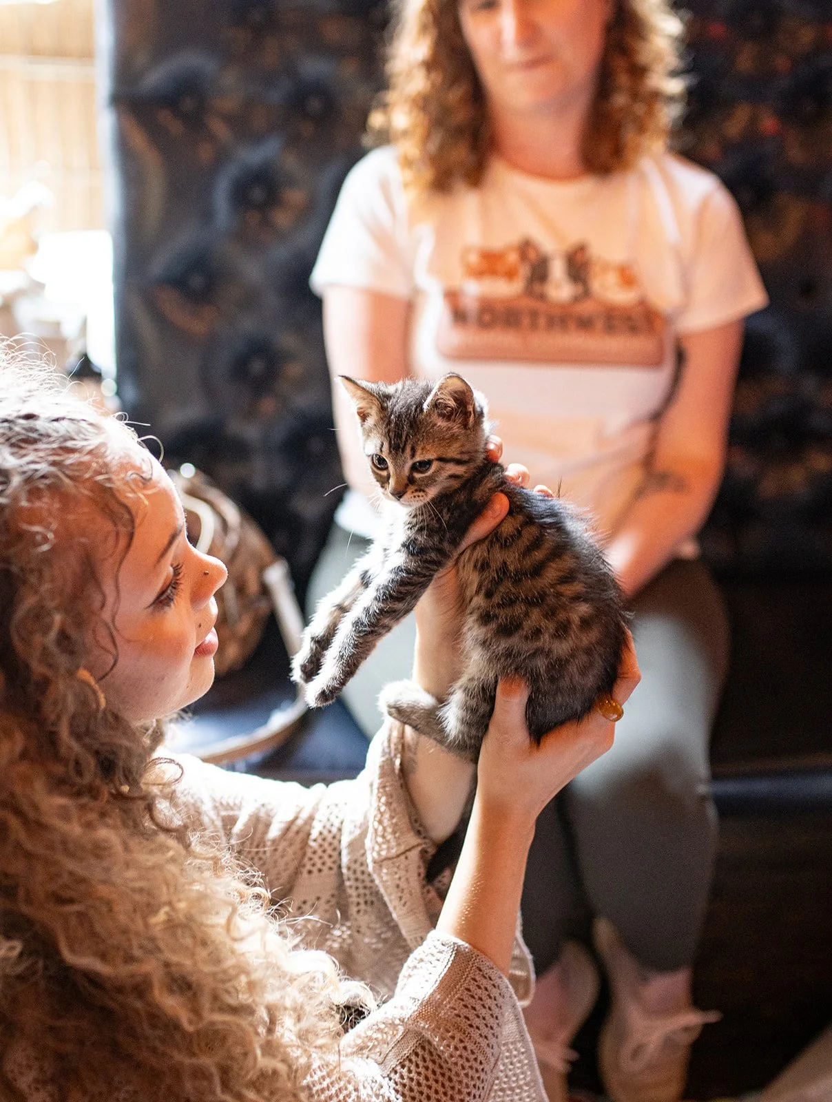 Kittens + Beer: Booverton