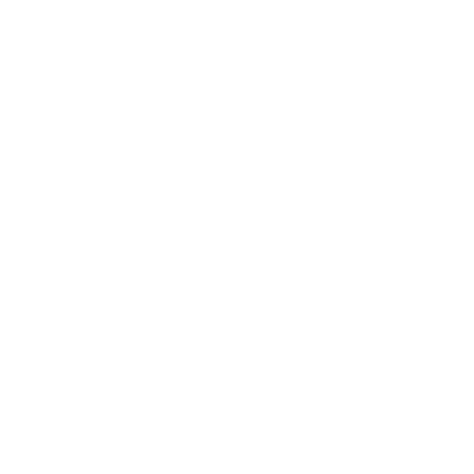 PSNJ-Archer.png