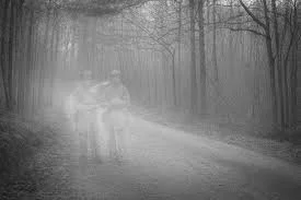 Civil War Woods - An Original Short Story by Josh