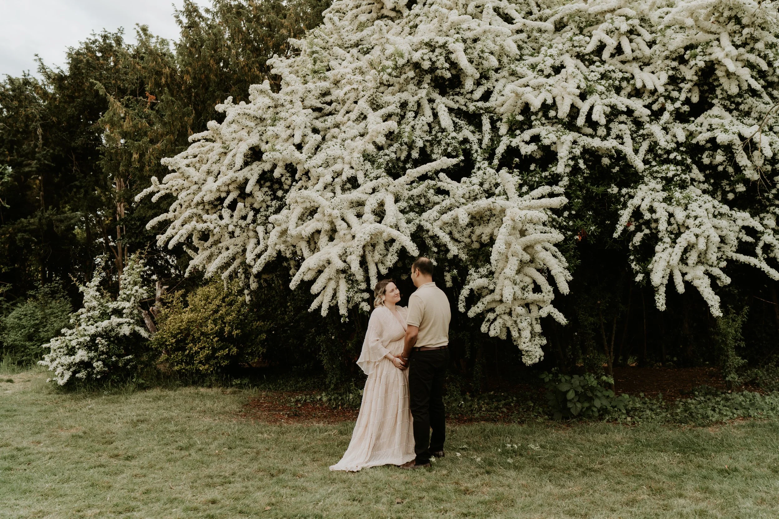 A couple stands holding hands in front of a large, bushy tree covered in white flowers, with green grass at their feet.