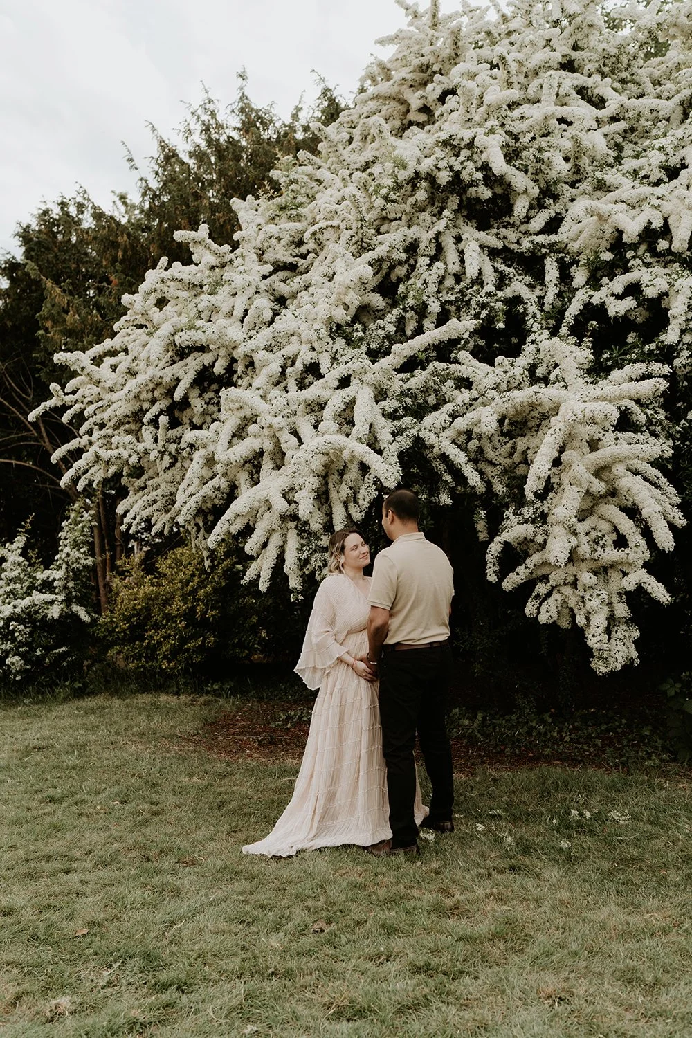 A couple holding hands and looking at each other in front of a large snow-covered tree.