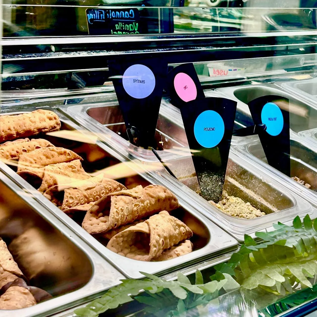 Copy of IMG_0253.jpeg