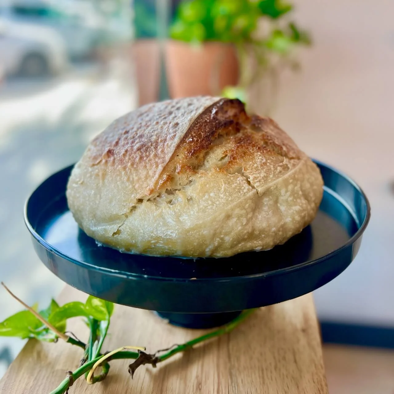 Copy of IMG_3069.jpeg