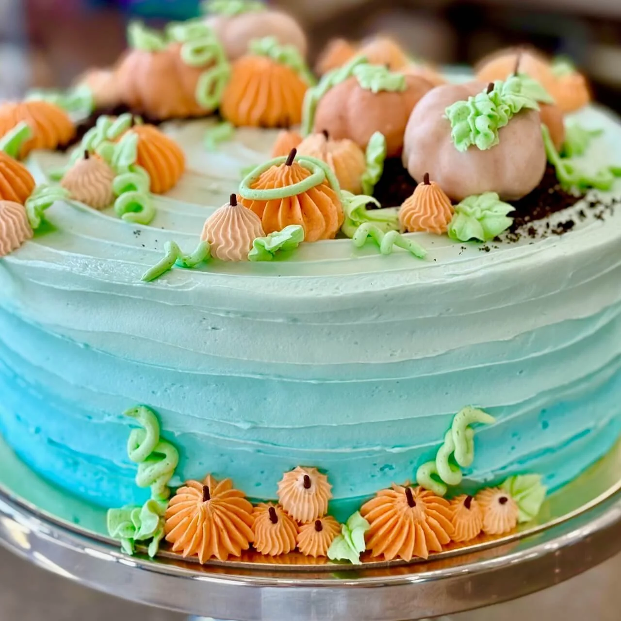 Copy of IMG_5227.jpeg