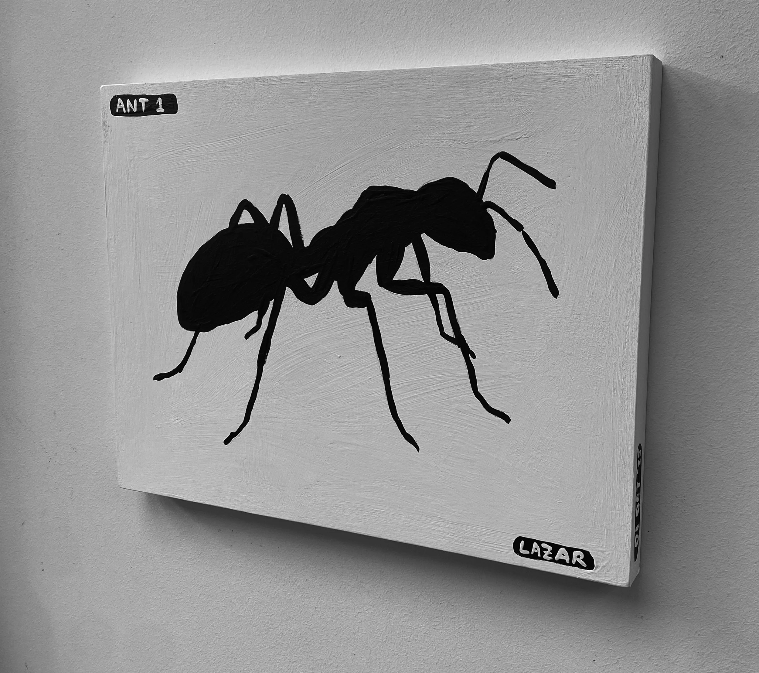 ant-01b.jpg