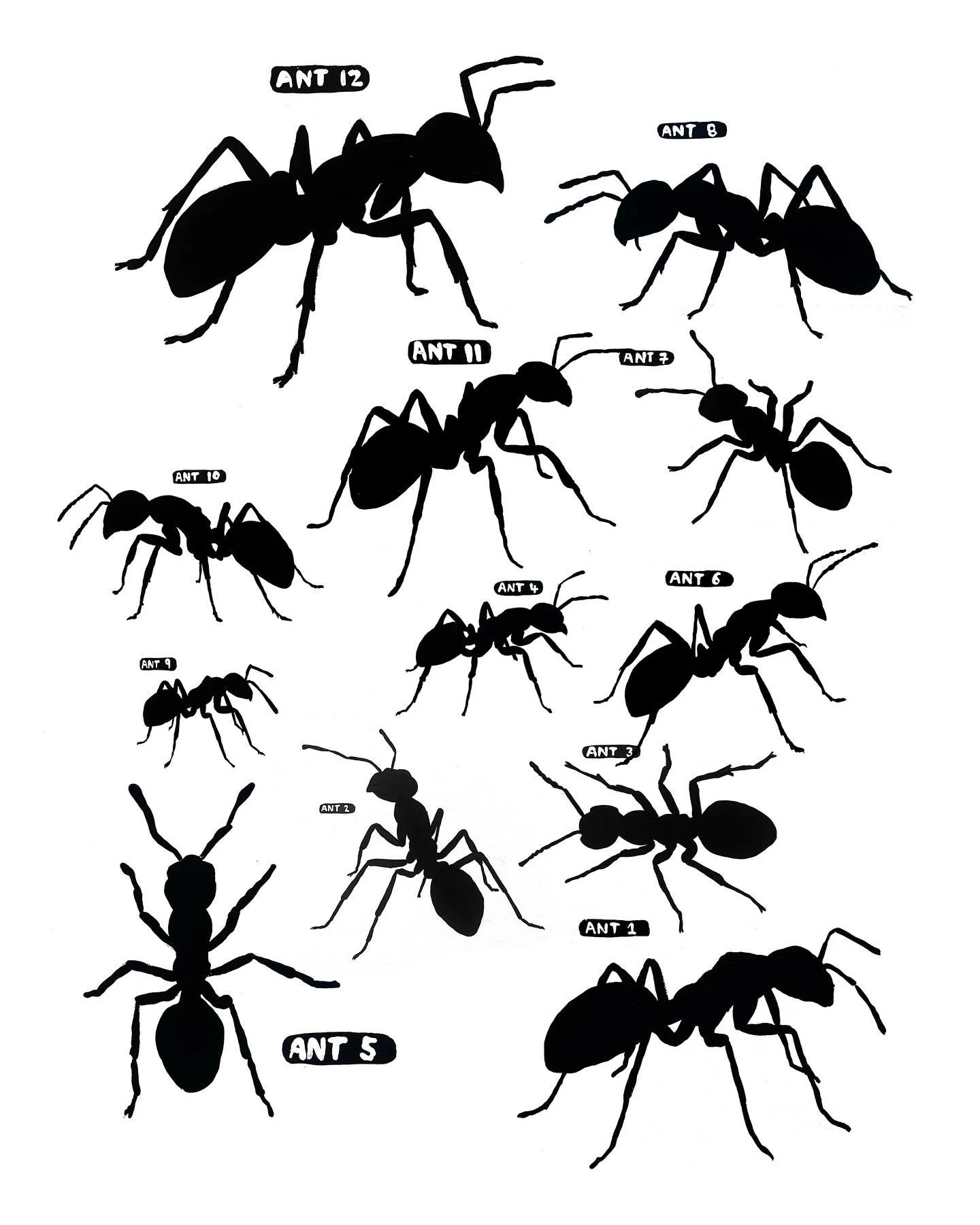 The first 12 ants in the collection.

Ant # 12 was painted today.
I make one sequentially-numbered ant painting every day.
The price matches its place in the series.
Ant # 1 was $1.
Ant # 365 will be priced at $365.
To RESERVE a FUTURE ANT, click my 