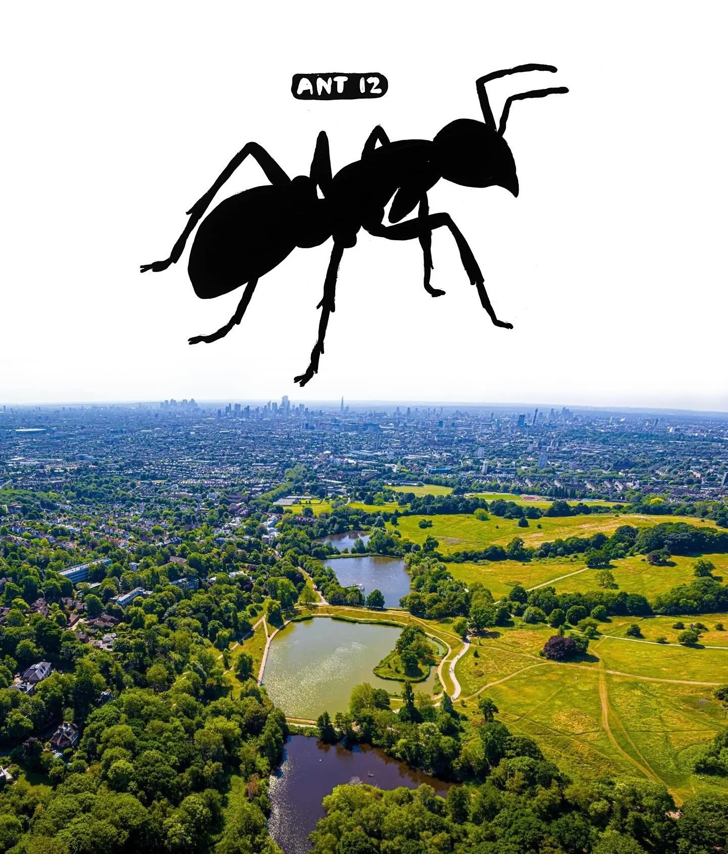 Ant # 12 was painted today and it&rsquo;s off to a new home on London.
I make one sequentially-numbered ant painting every day.
The price matches its place in the series.
Ant # 1 was $1.
Ant # 365 will be priced at $365.
To RESERVE a FUTURE ANT, clic