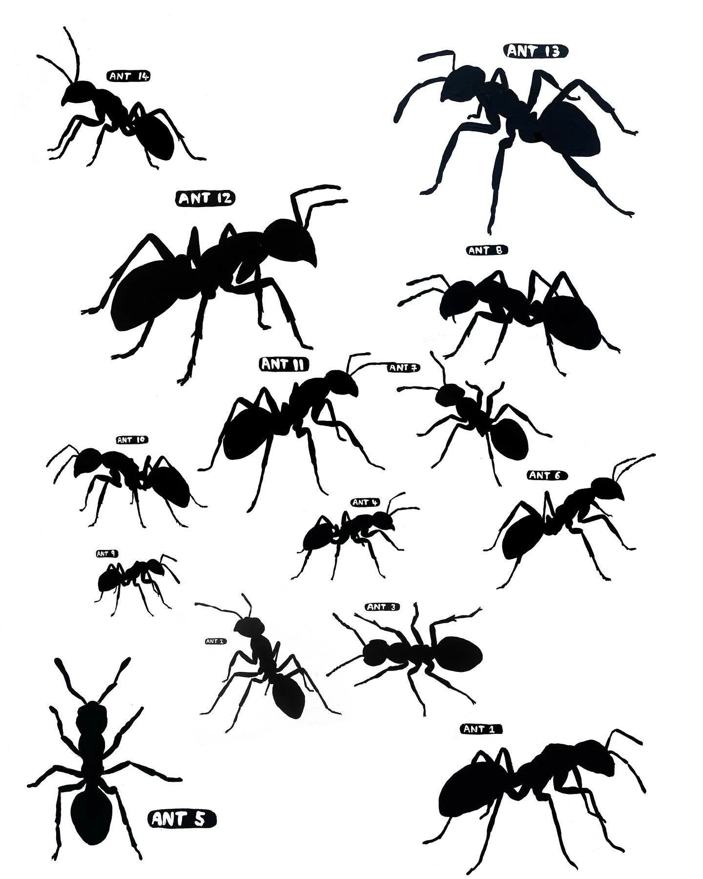 The first 14 ants in the collection.

Ant # 14 was painted today and is off to a London-based antvestor.

I make one sequentially-numbered ant painting every day.
The price matches its place in the series.
Ant # 1 was $1.
Ant # 365 will be priced at 