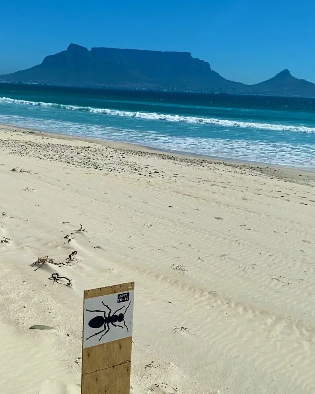 Where is this?
Part of my Finder&rsquo;s Keepers series.
ANT-FK-03: If you can find it, it&rsquo;s yours.

I&rsquo;m painting ants on found materials (this being the panel of an old shipping box from Builder&rsquo;s Warehouse).
For more info on my An