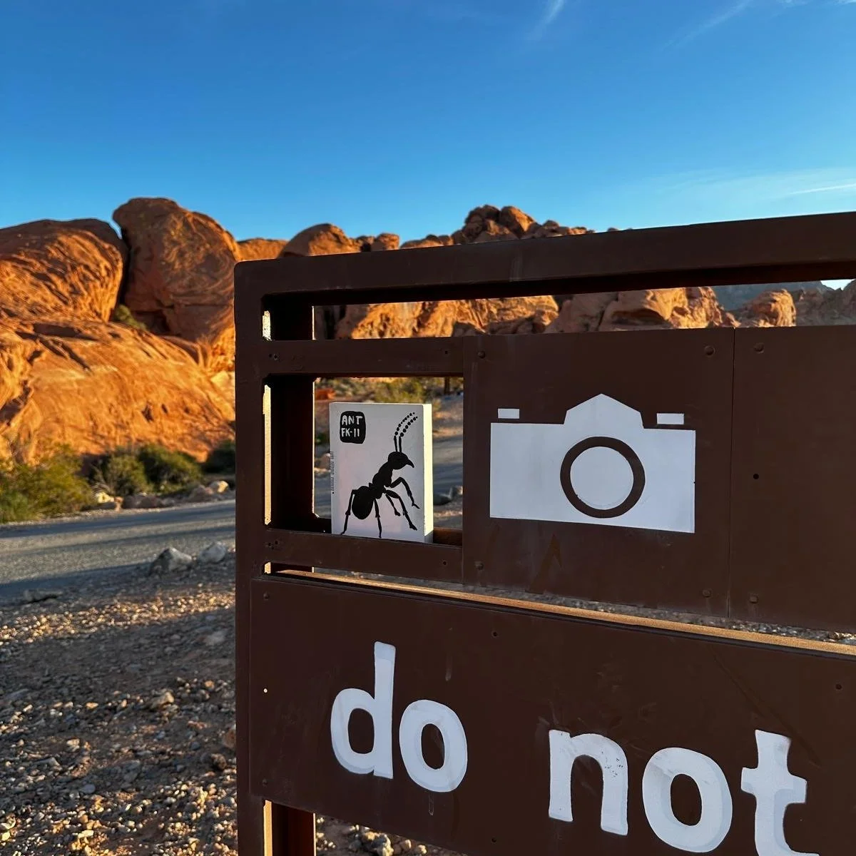 Where is this?
Part of my Finder&rsquo;s Keepers series.
ANT-FK-11: If you can find it, it&rsquo;s yours.

Clue: Northern hemisphere.

I&rsquo;m painting ants on found materials (this being a discarded wooden canvas). For more info on my Ant Project,