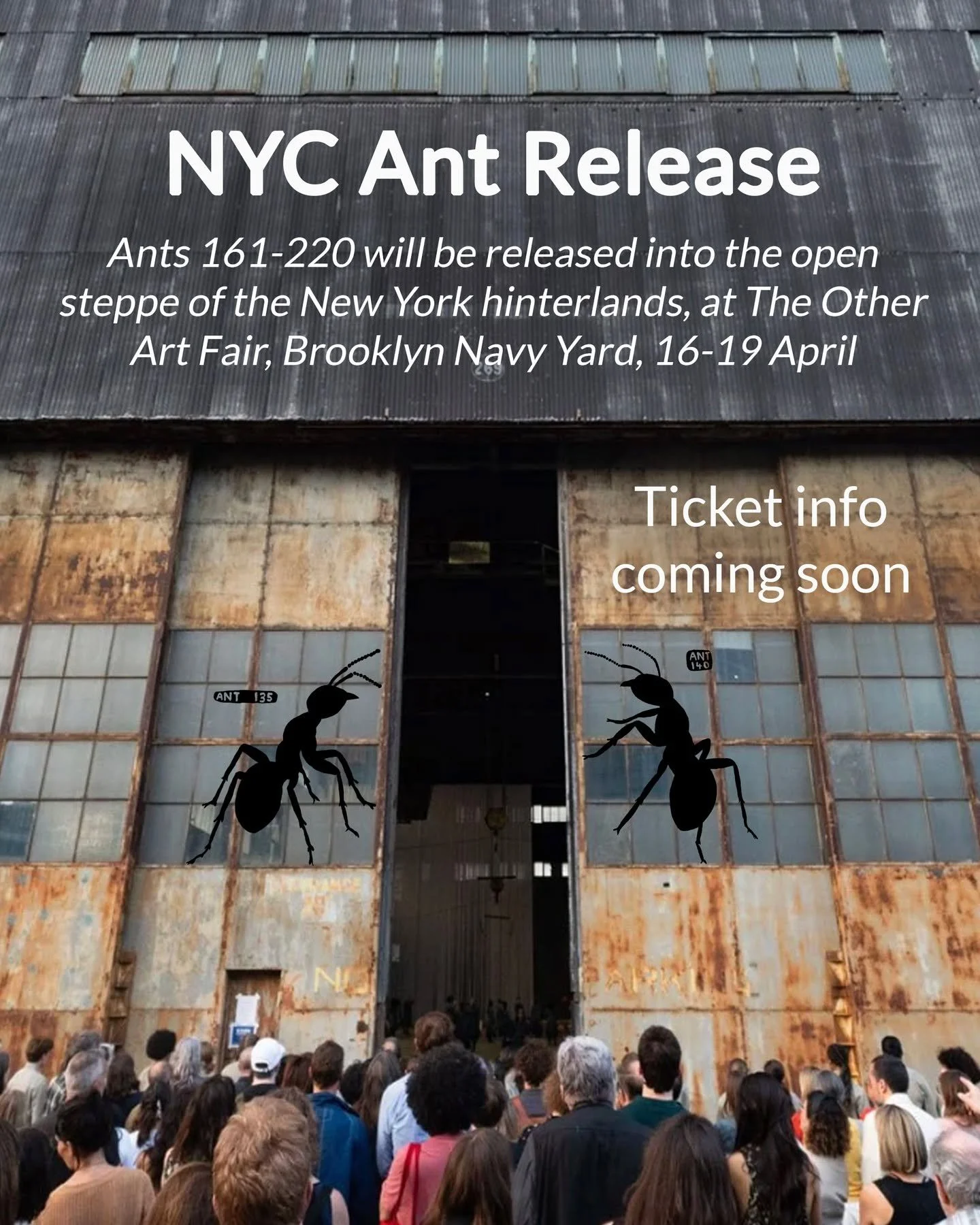 Ants 161-220 will be released into the open steppe of the New York hinterlands, at The Other Art Fair, Brooklyn Navy Yard, 16-19 April

Ticket info coming soon.