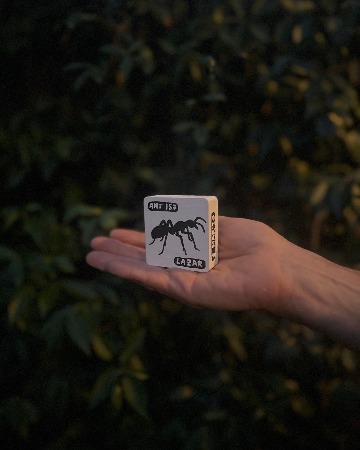 Ant #157: 6 x 6cm

If you want your own ant, this is the place: https://www.antpaintings.com/