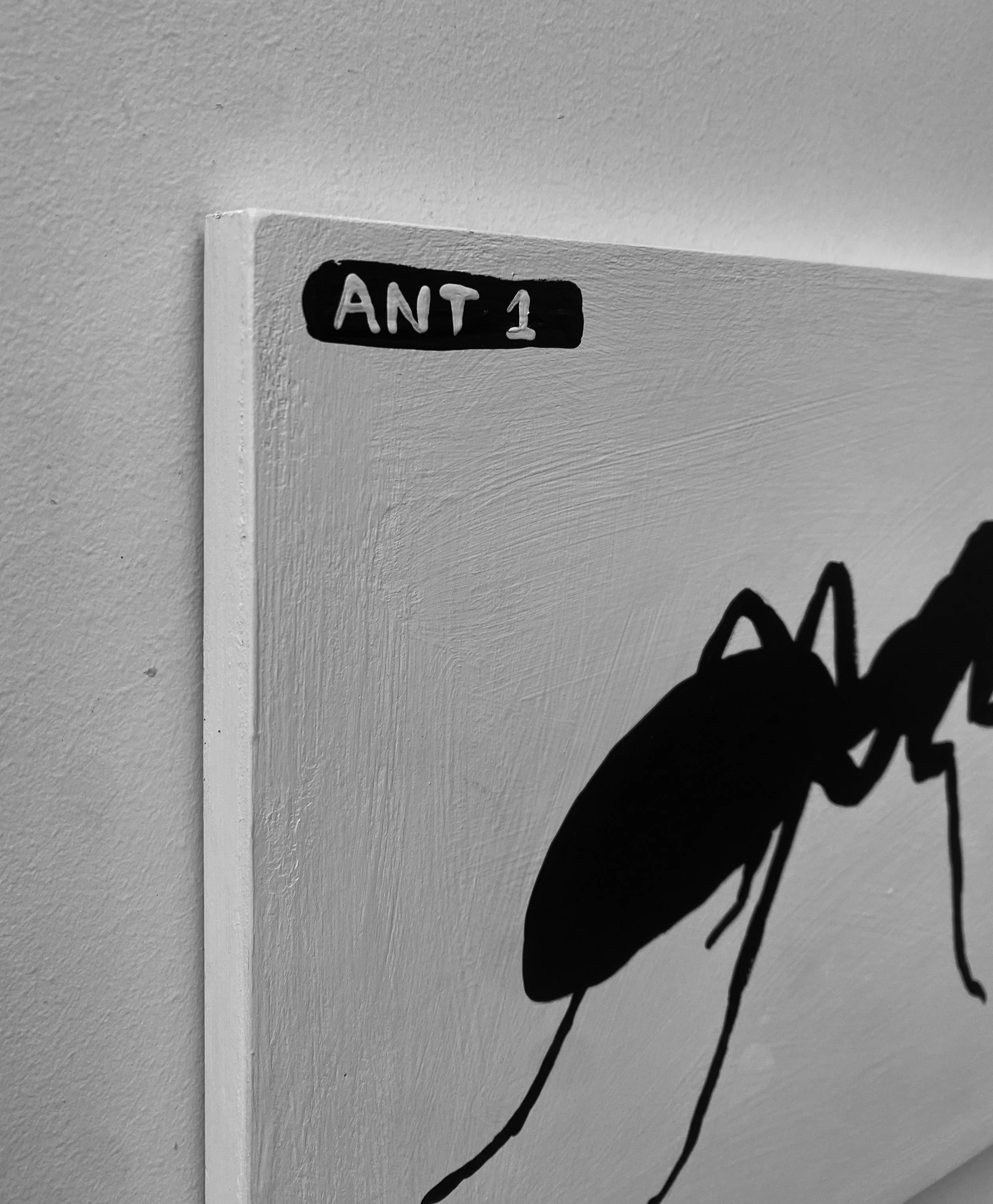 ant-01d.jpg