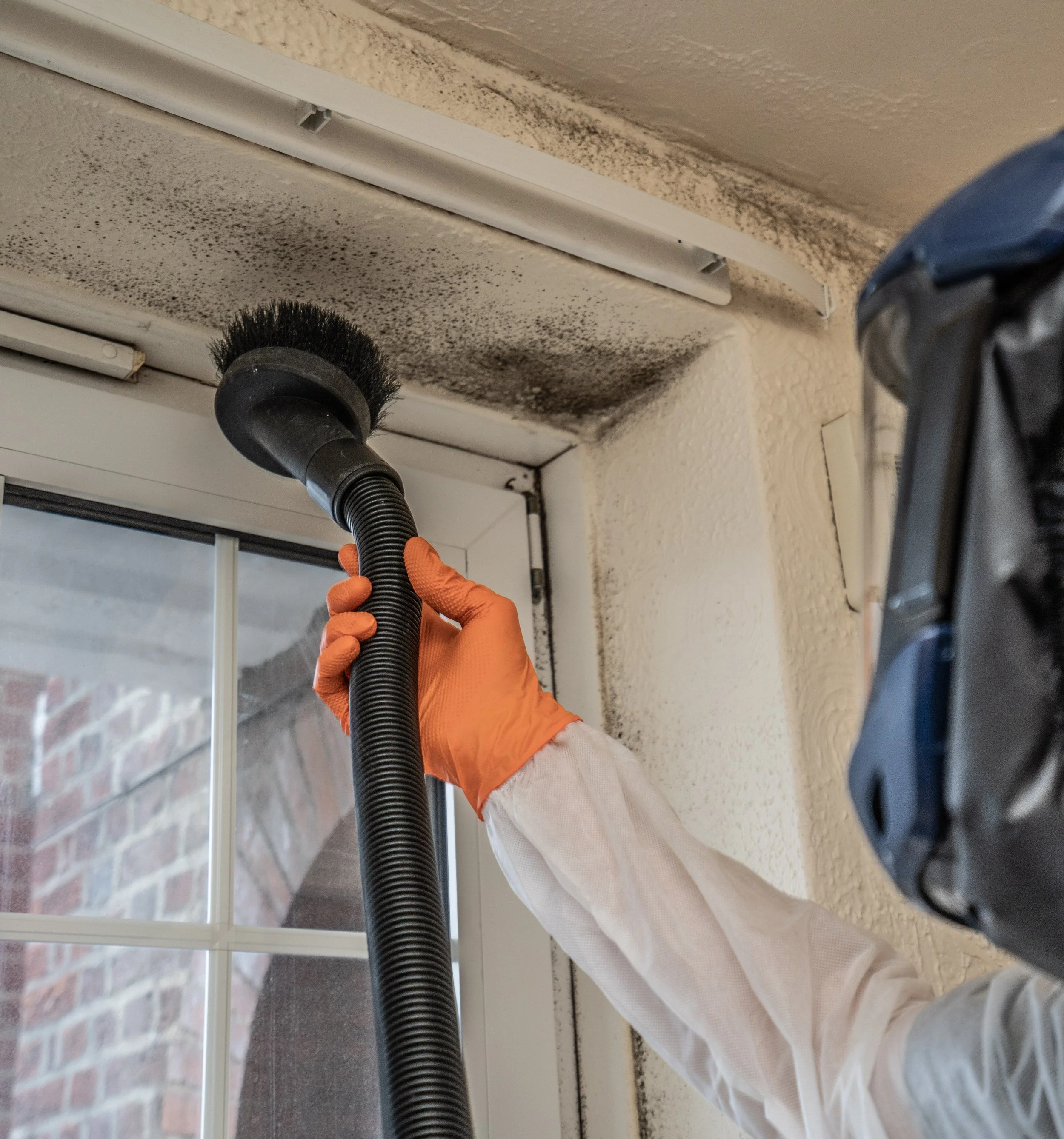 Person wearing an orange glove cleaning black dirt or mold from the corner of an interior ceiling with a vacuum cleaner with a round brush attachment.