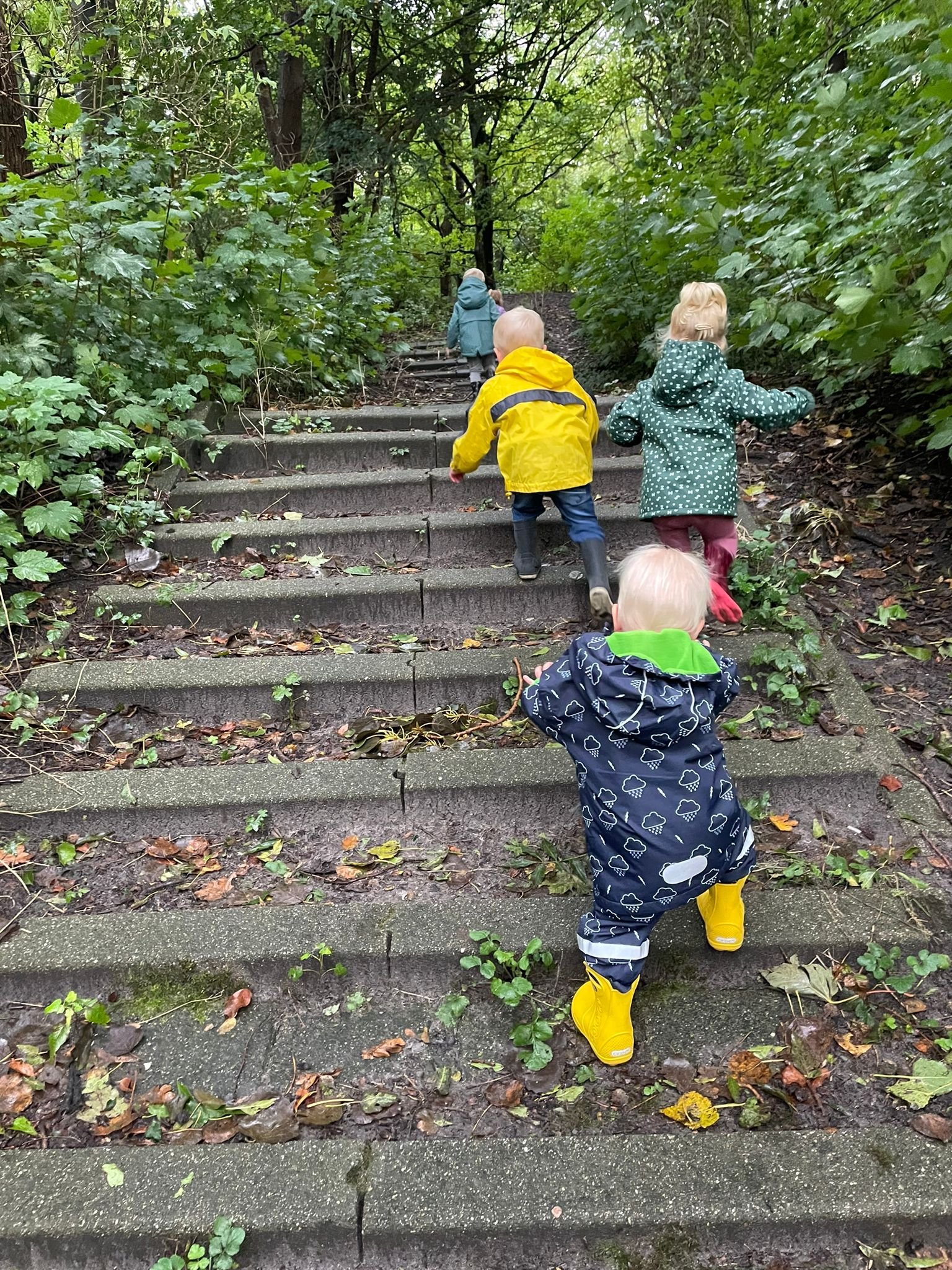 Four young children wearing colorful rain jackets and yellow rain boots climbing outdoor concrete steps on a forest trail surrounded by green foliage.