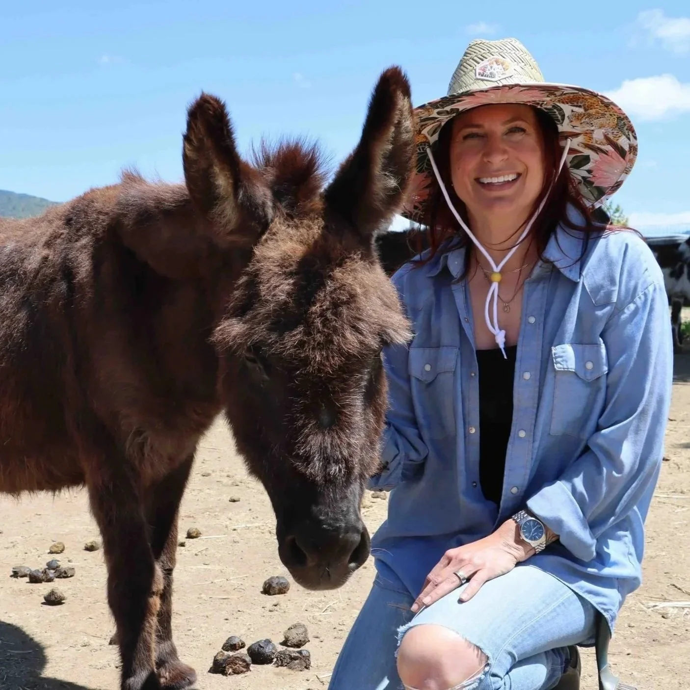 An Oscar's Place volunteer  kneels next to a donkey outdoors on a sunny day.