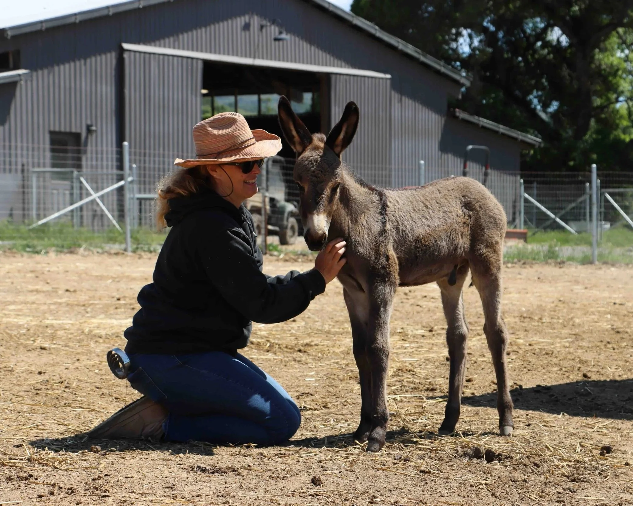 An Oscar's Place volunteer kneeling on the ground and petting a donkey outside.