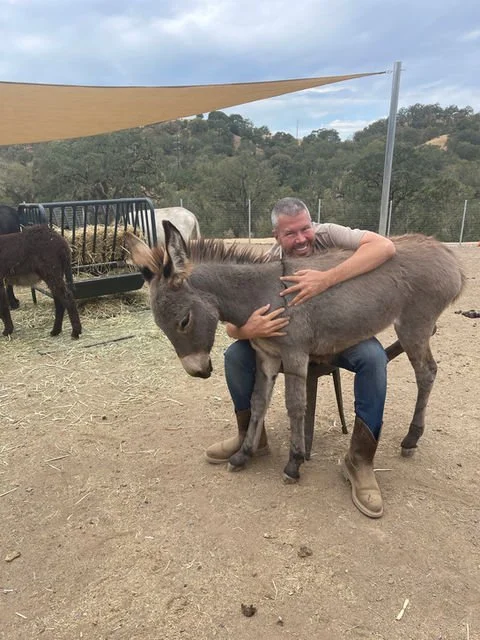 lemongrass 2.jpg.jpeg