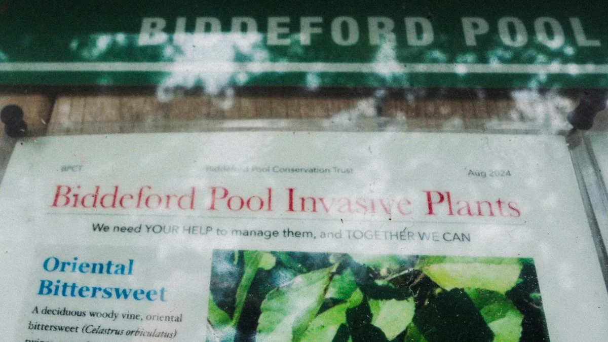 8.1.2026 Biddeford_1.50.1.jpg