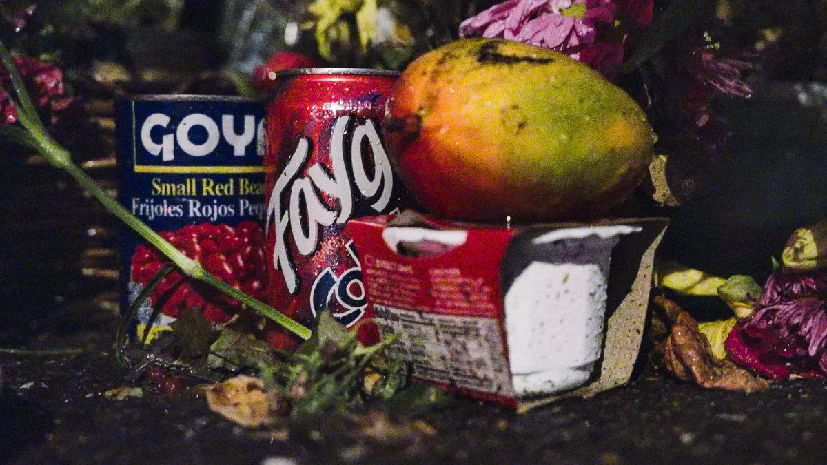Faygo and Goya 7.21.2026 Biddeford_July_2026.jpg
