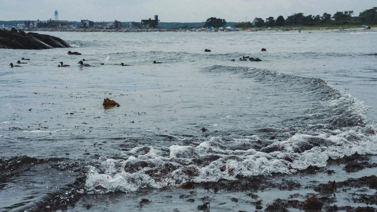 8.1.2026 Biddeford_1.36.2.jpg