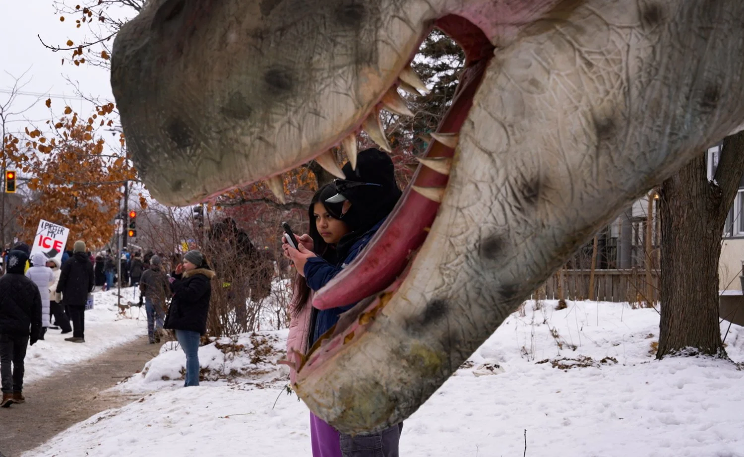 35.Lost World_Minnesota_January_2026.jpg