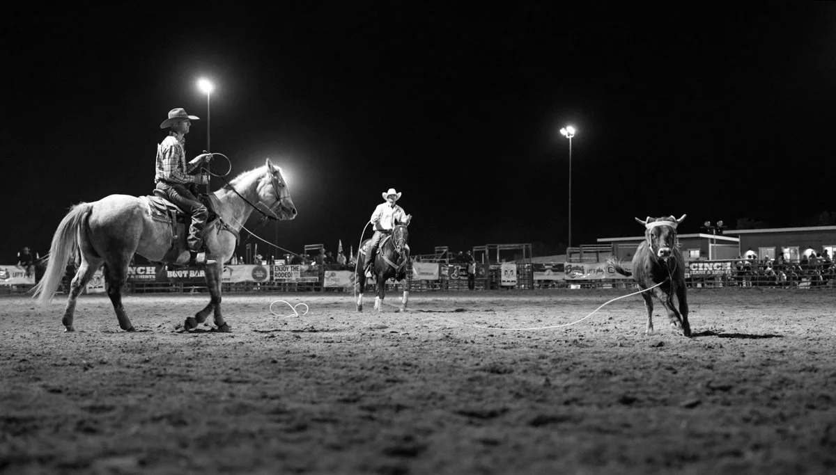 Cow Running Roped_Arizona_2024.jpg