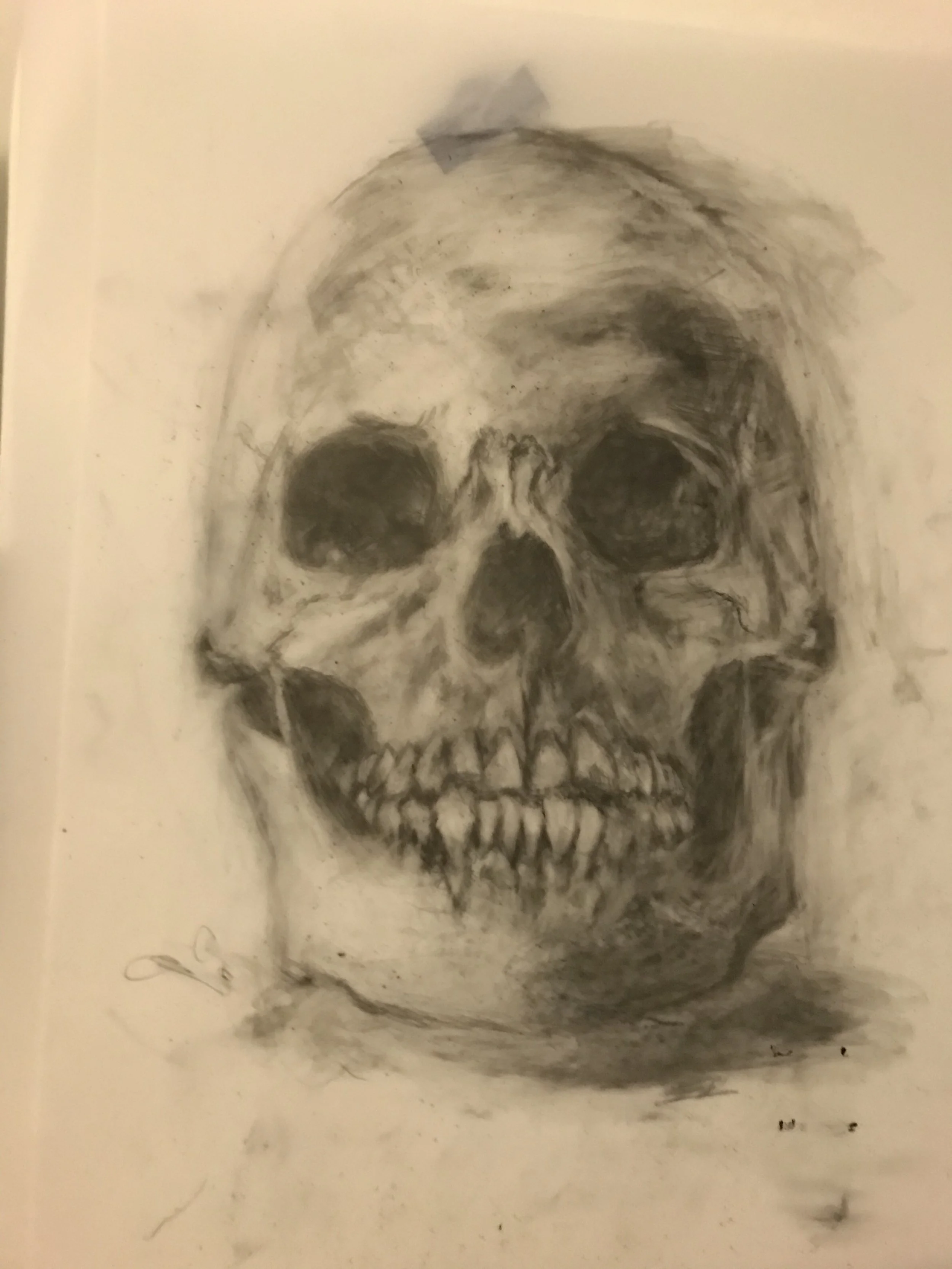 Skull Portrait
