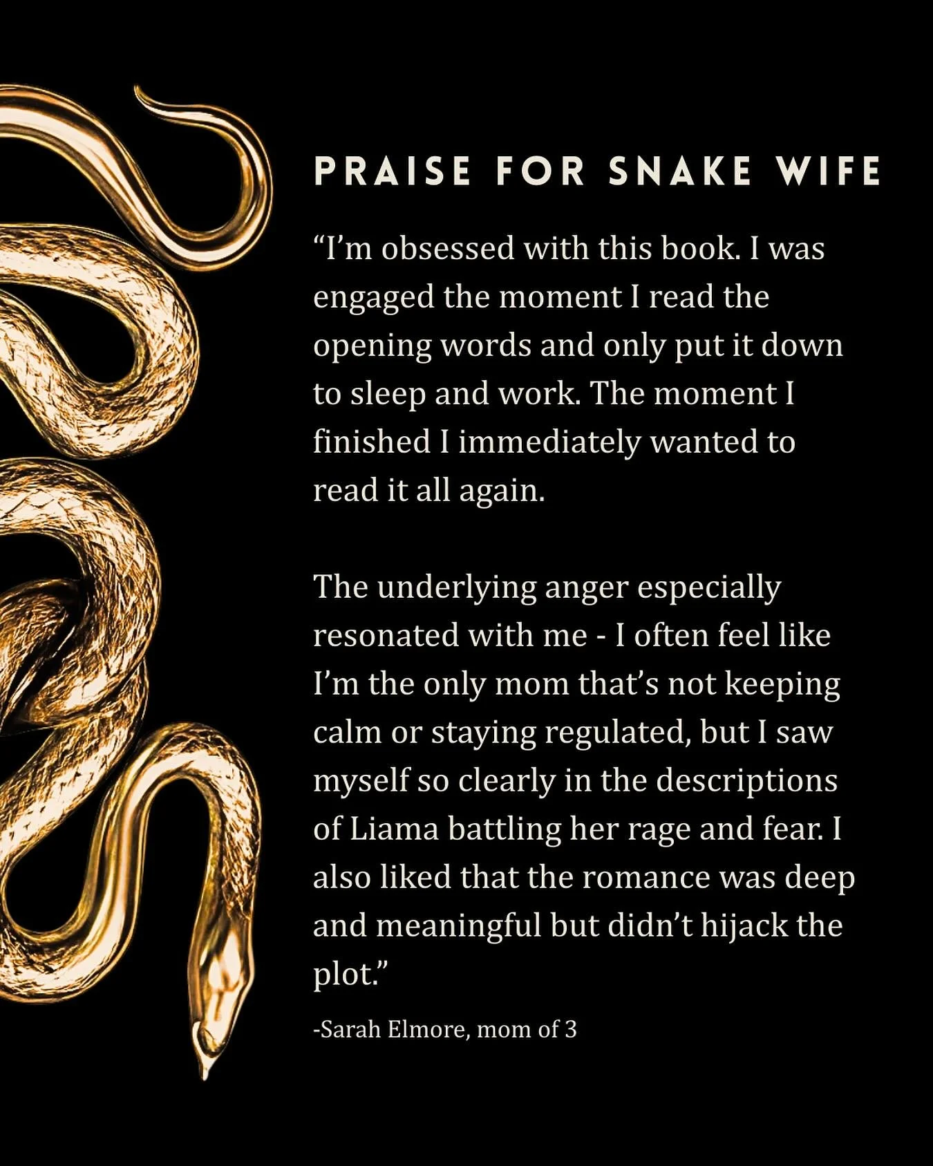 A huge thank you to the fabulous and savvy @sarahnelmore for being one of my beta readers. Your all caps texts and multi-emojied feedback was so good for my soul!