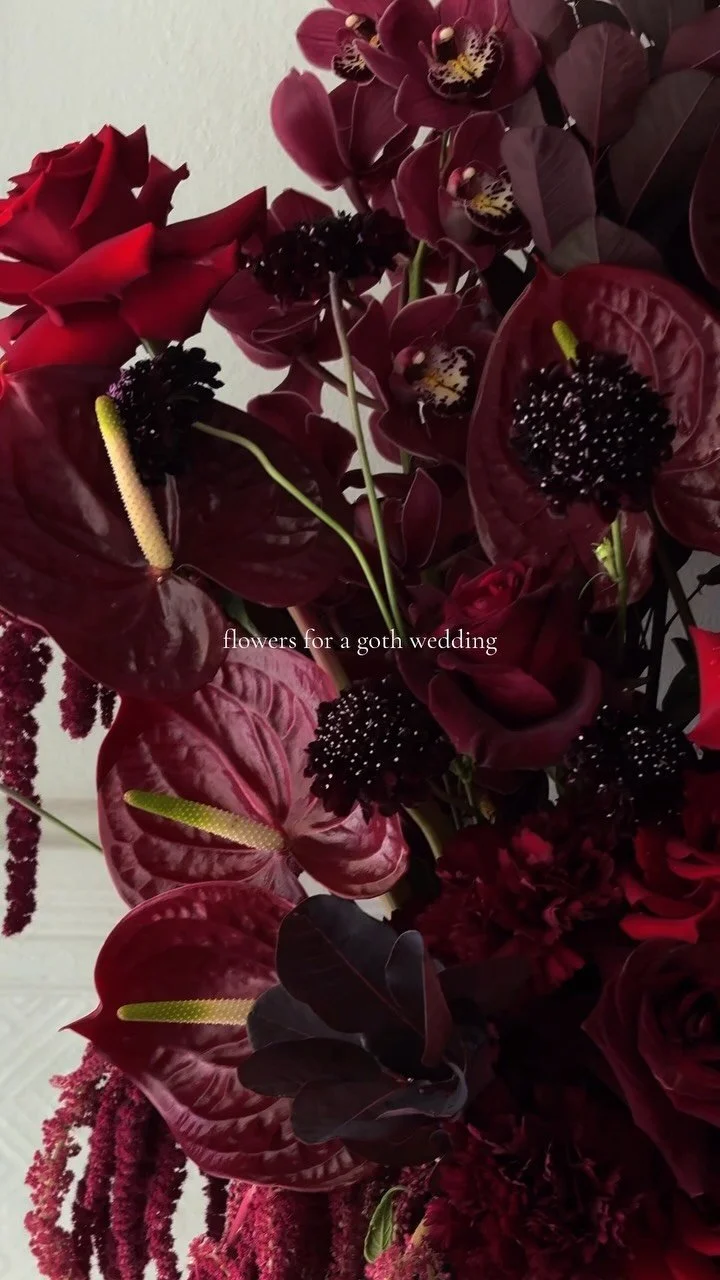 Burgundy anthurium, scabiosa and roses