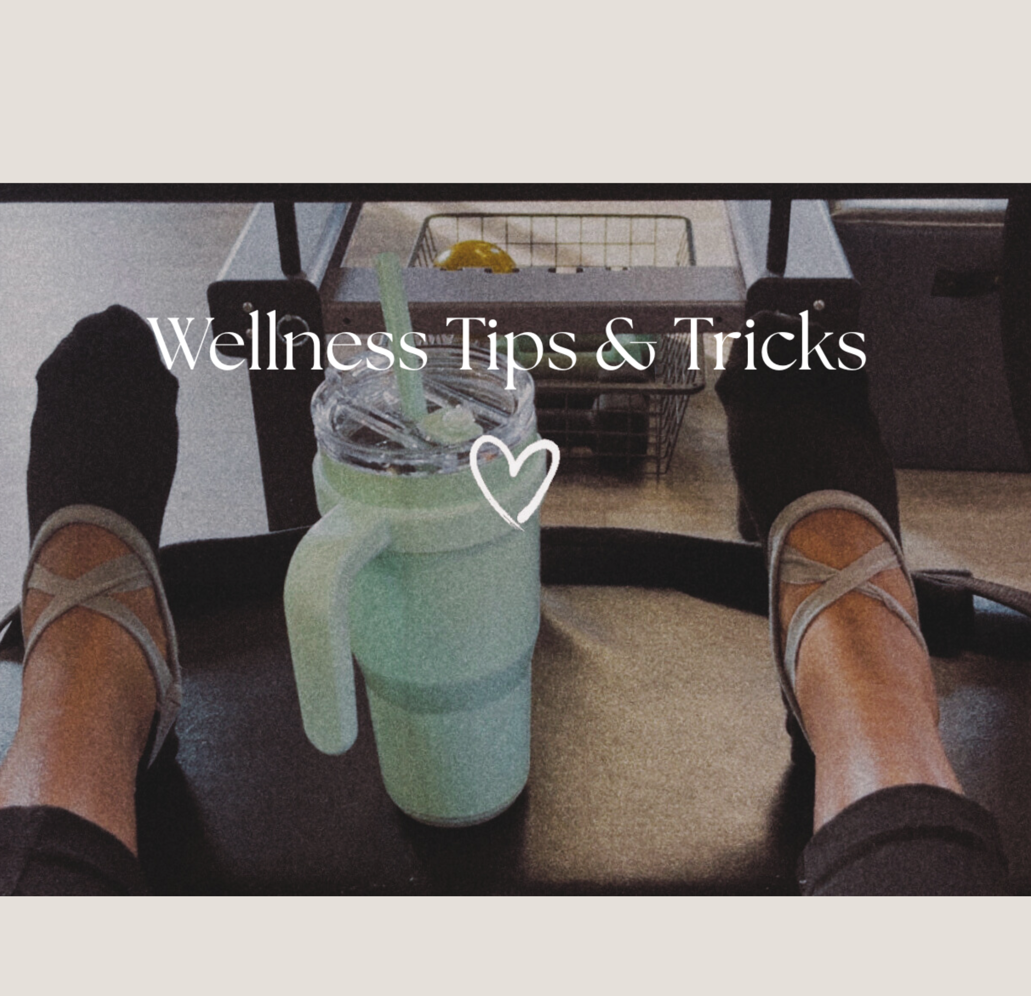 Organization (1).png