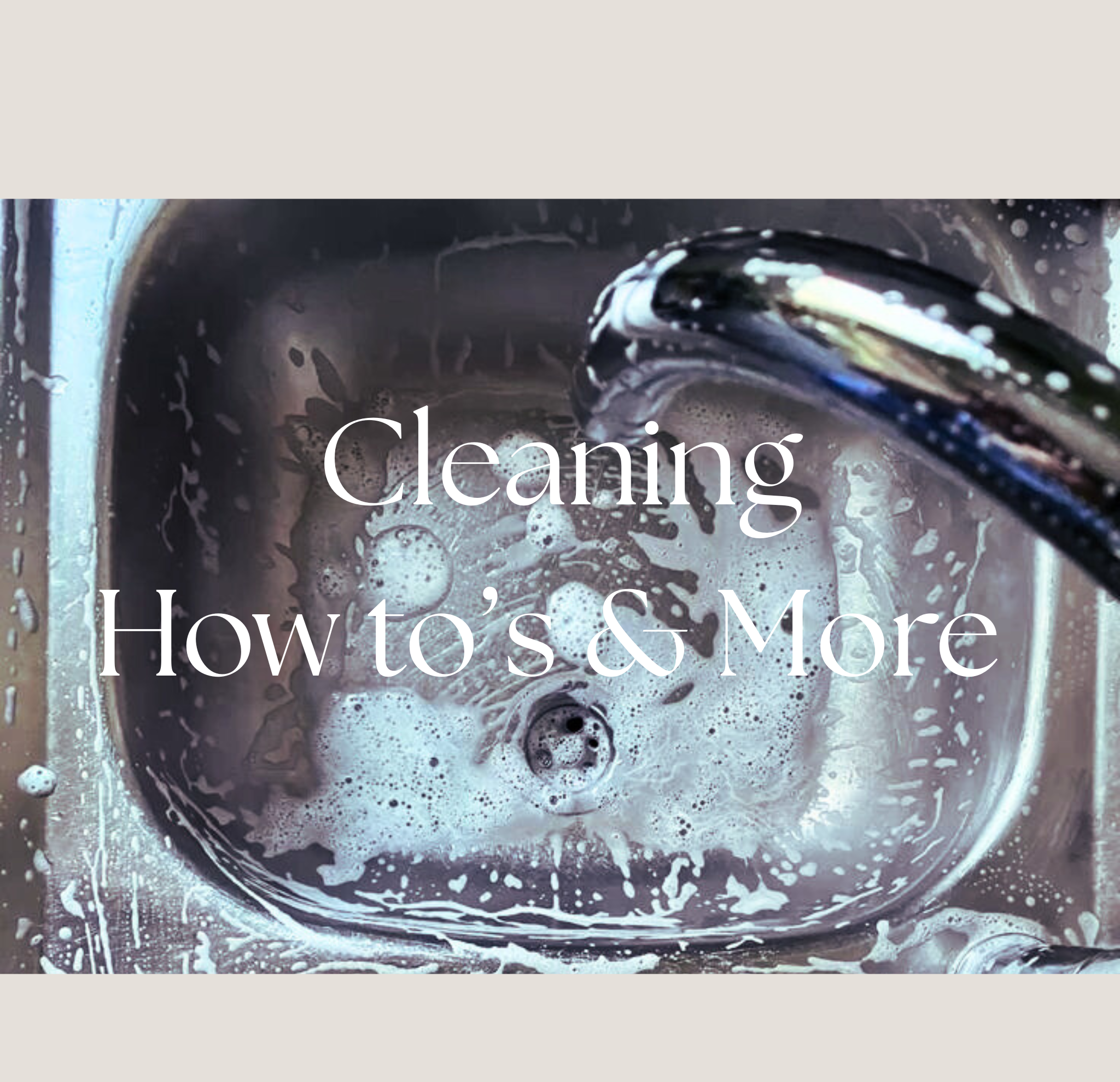 Organization (2).png