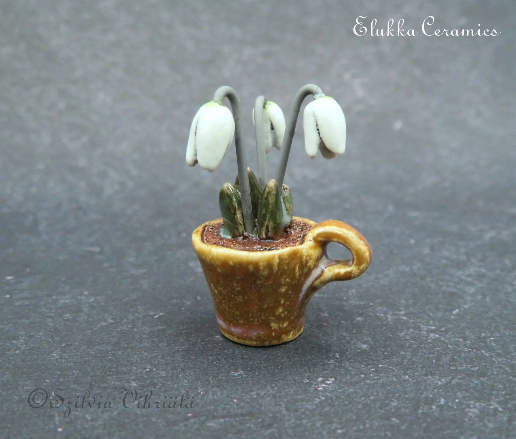 Tiny Bloom™ Series by elukka...Miniature SnowDrops in Brown Cup