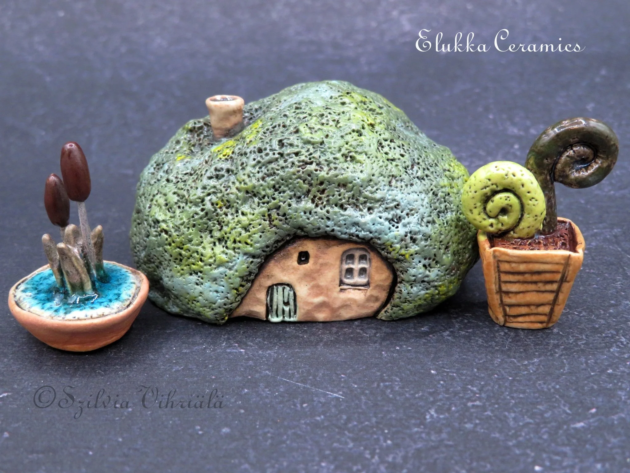 IMG_7698.JPG