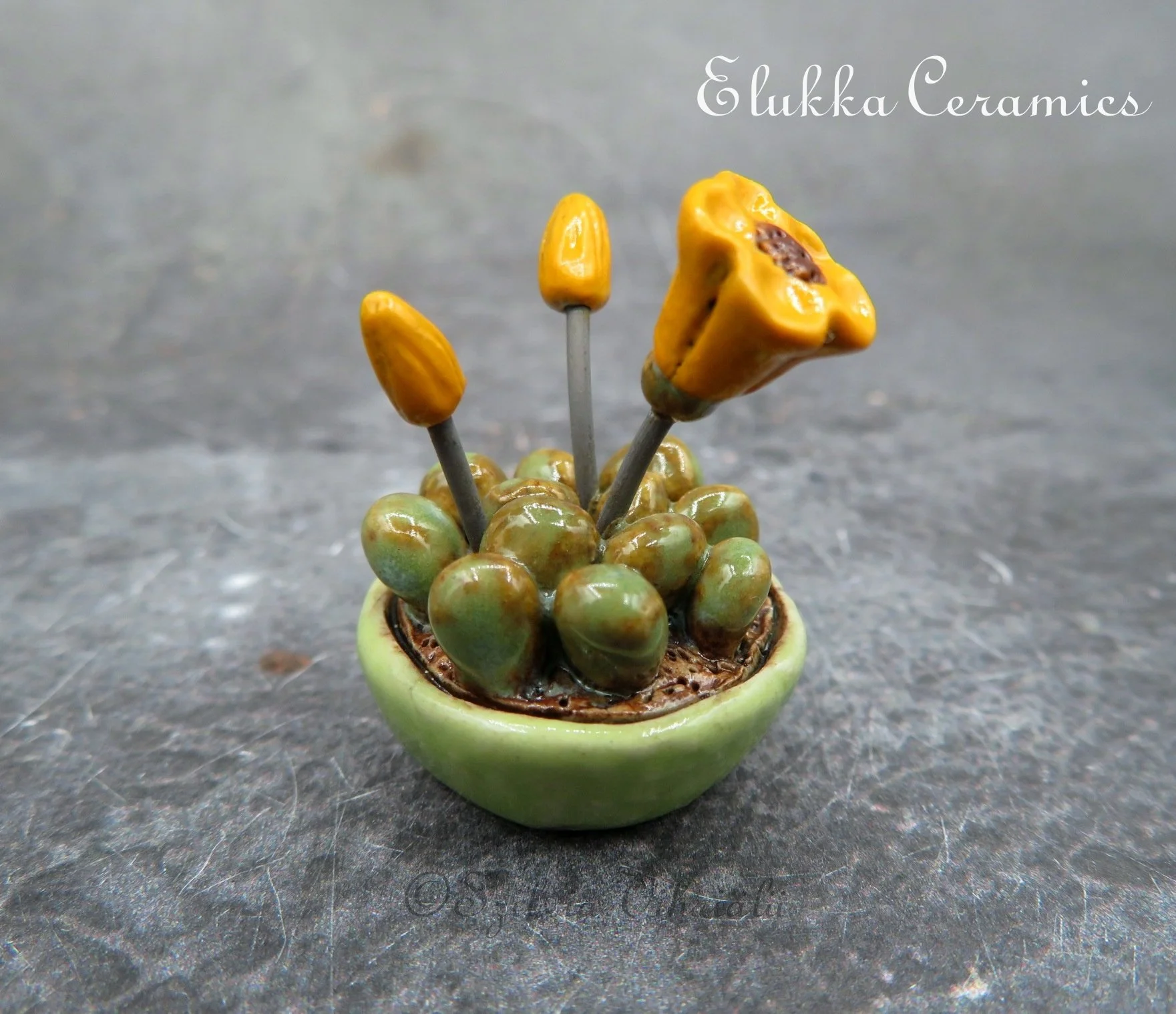 Collectible TINY Ceramic Bloom by elukka...Blooming Succulent in Lime Bonsai Pot