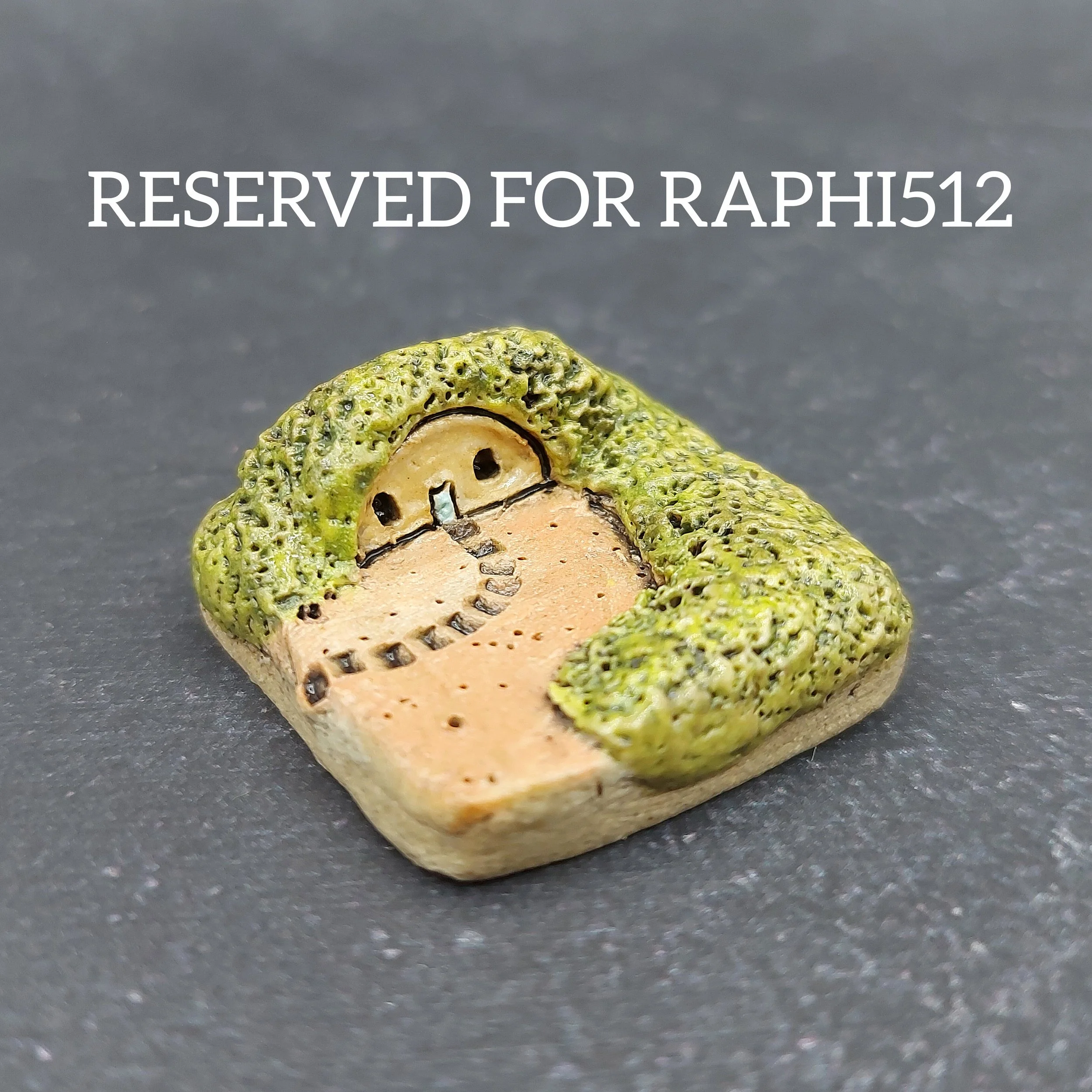 RESERVED for raphi512 RESERVED